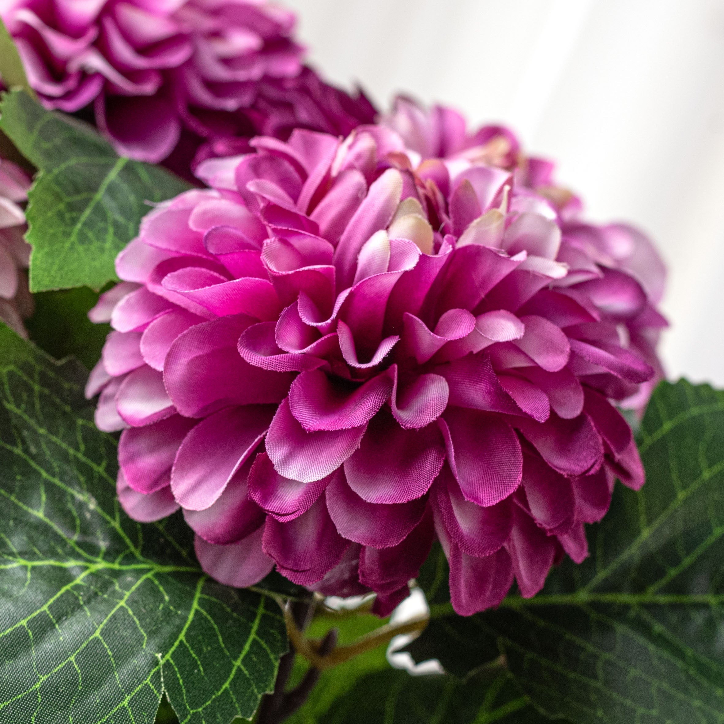 19" Dahlia Bush: Fuchsia Purple (9 Stem)