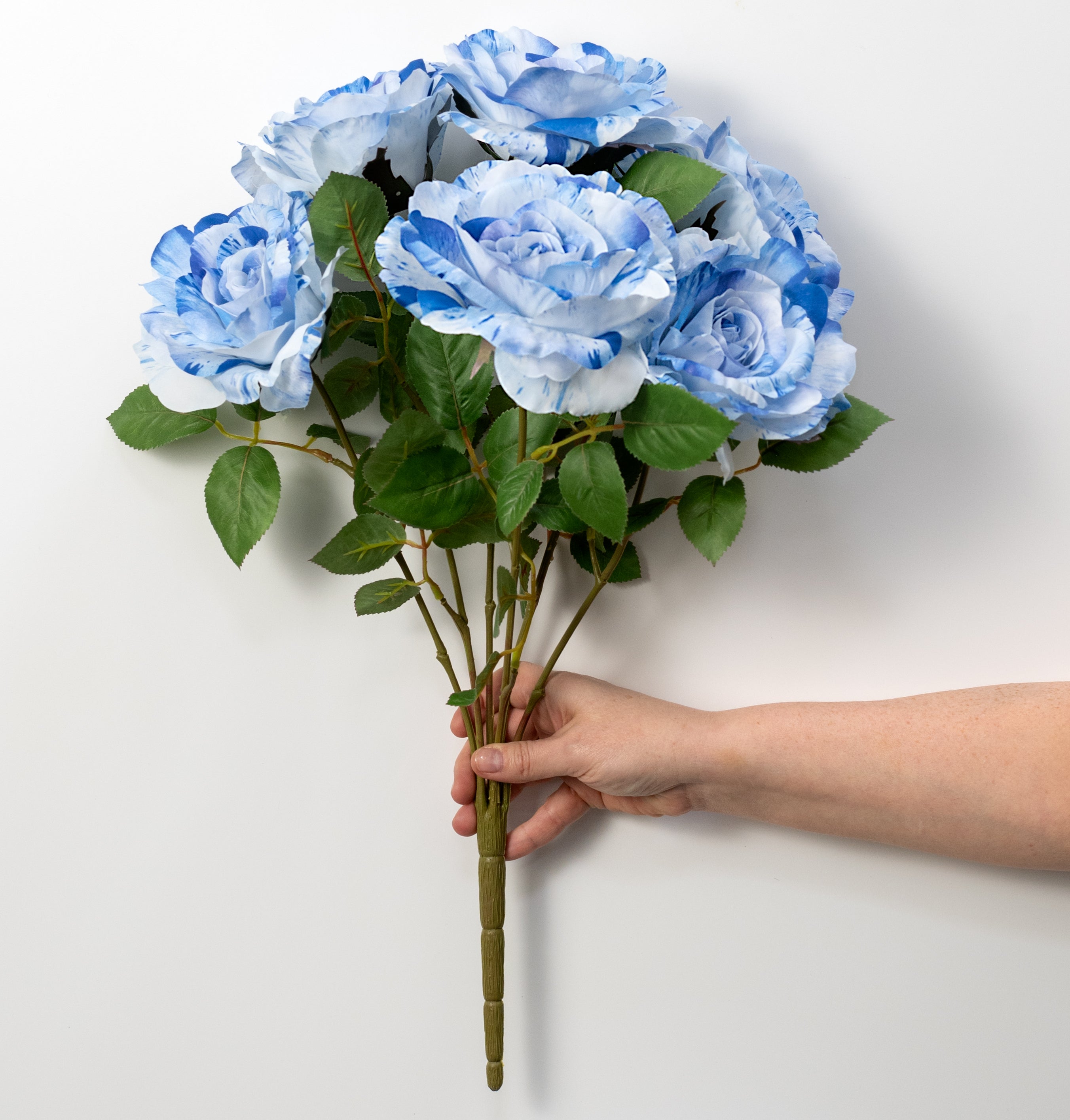 20" English Rose Bush: Variegated Blue & White (6 Stem)