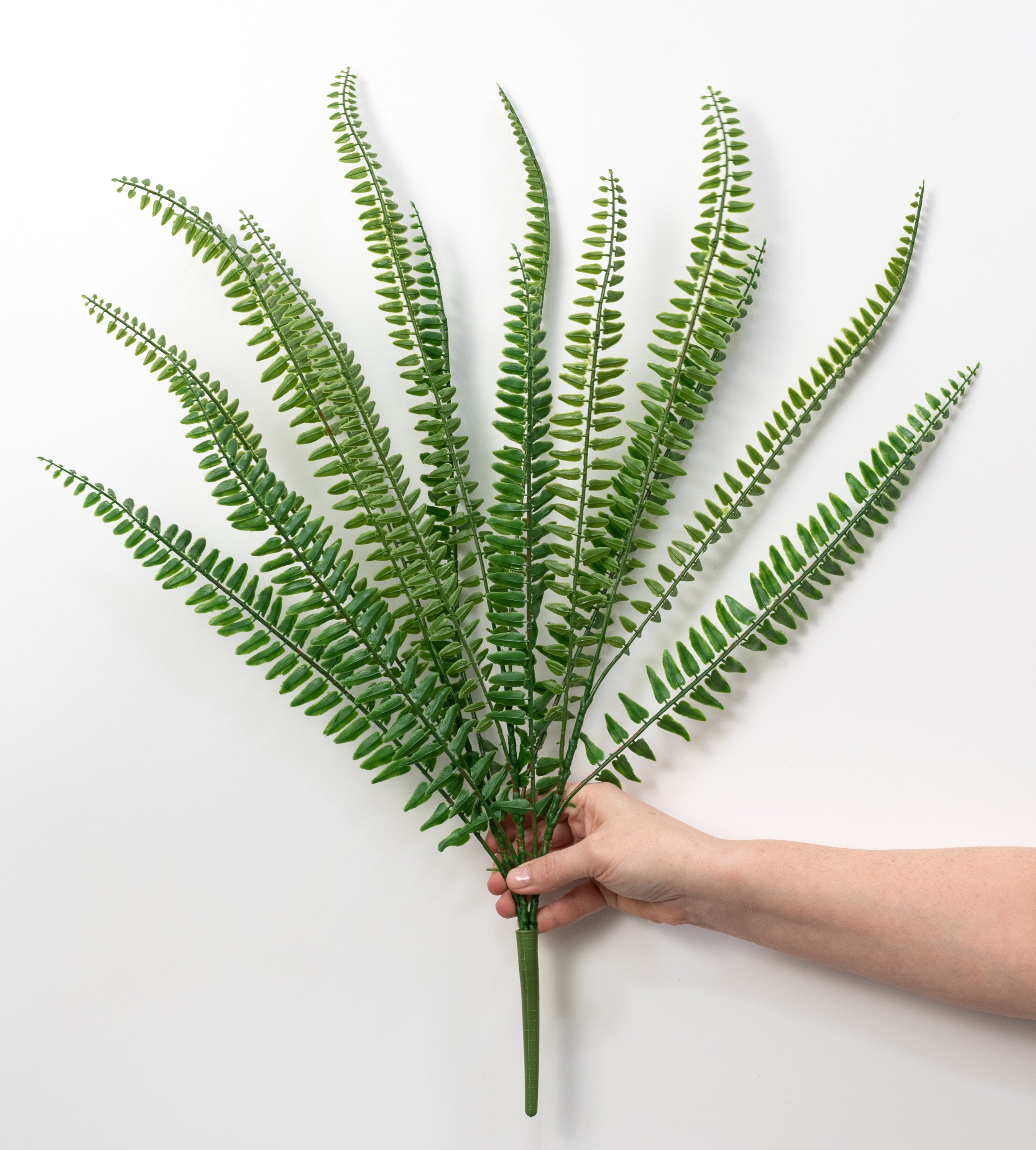 29" Boston Fern Bush