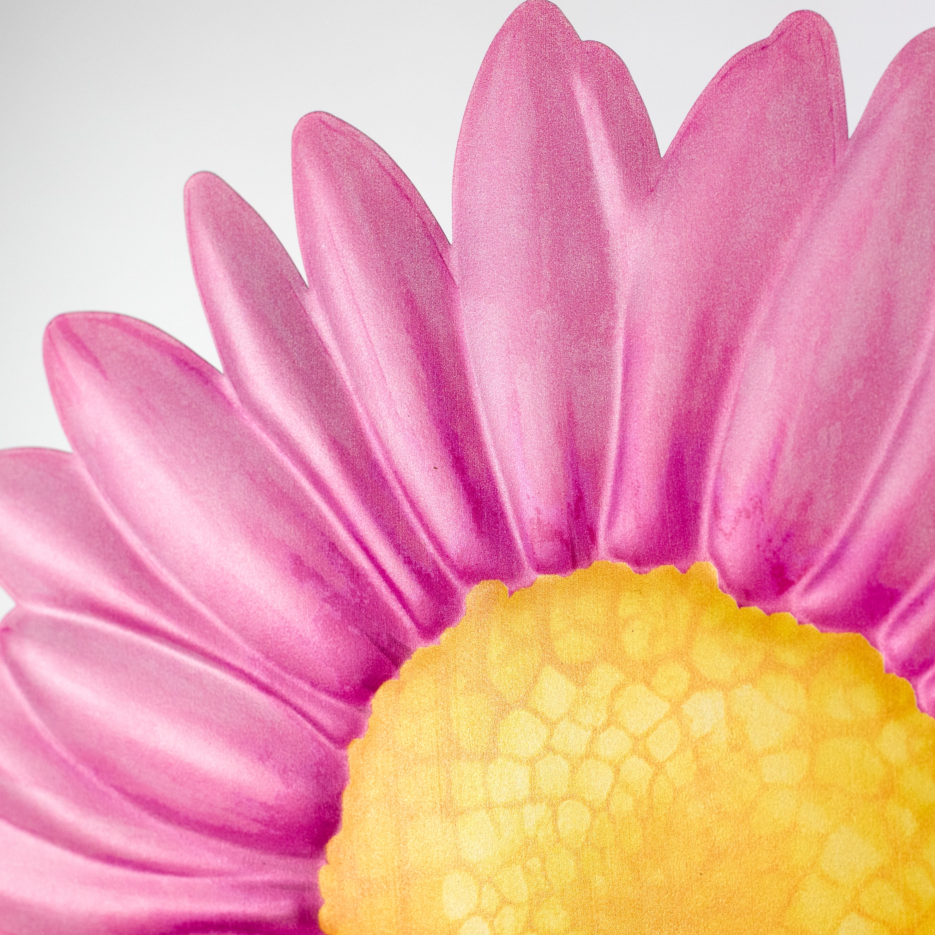 12" Embossed Metal Sign: Fuchsia Pink Daisy