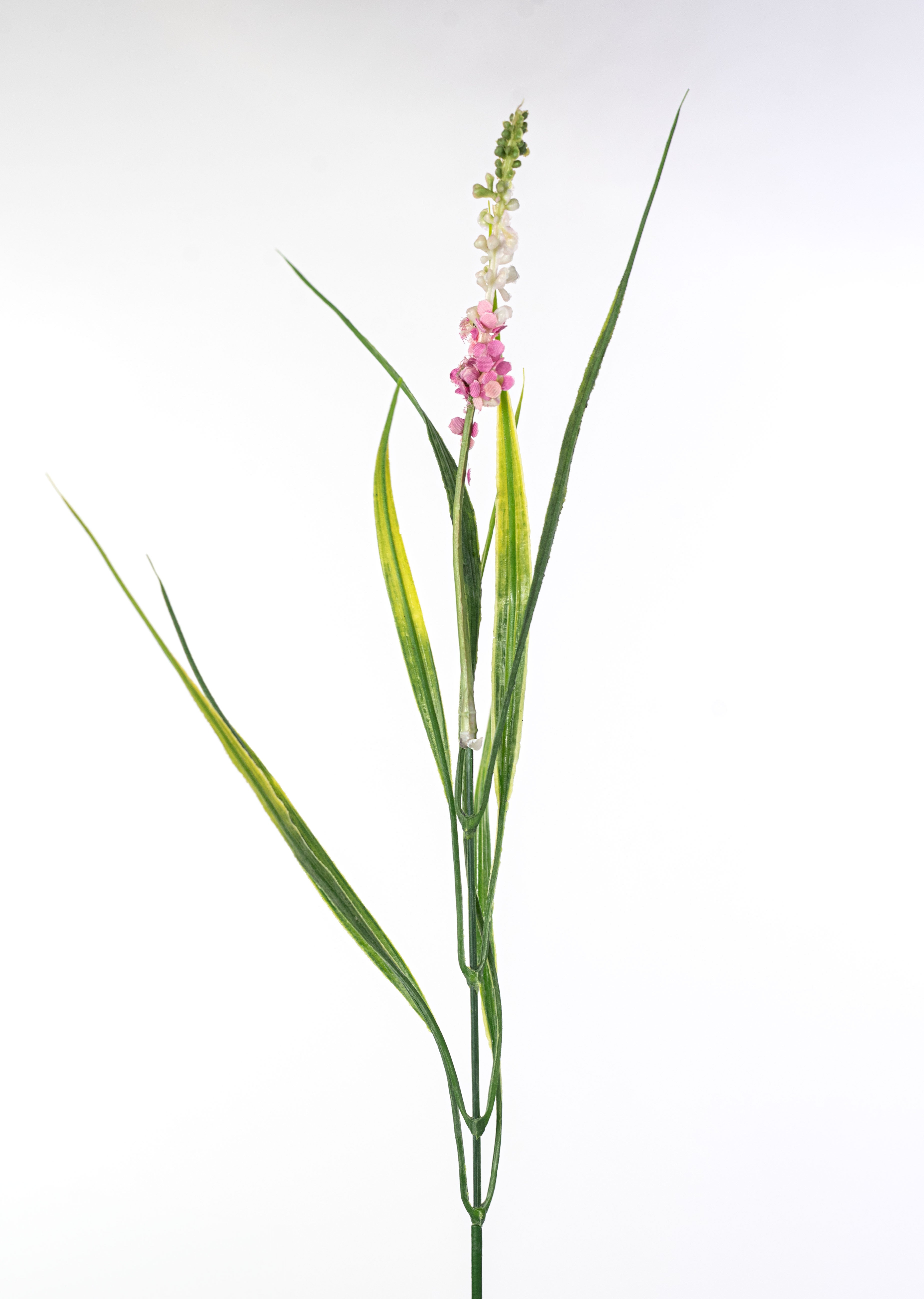 20" Lavender Bush: Pink (14 Stem)