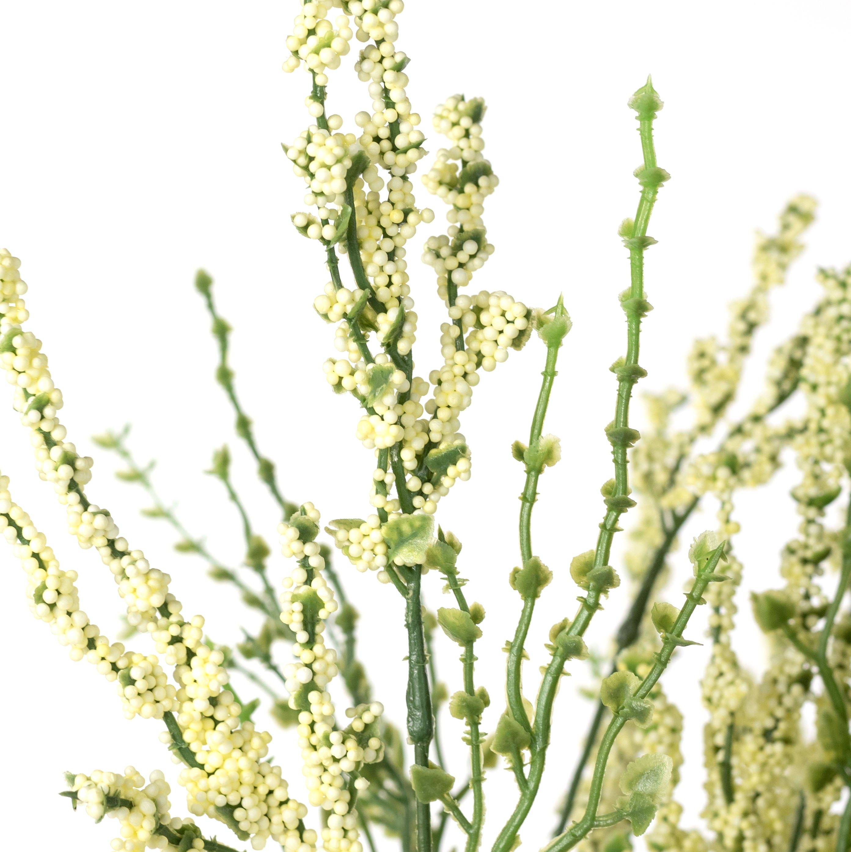 21" Erica Bush Seeded Heather: Cream (12 Stem)