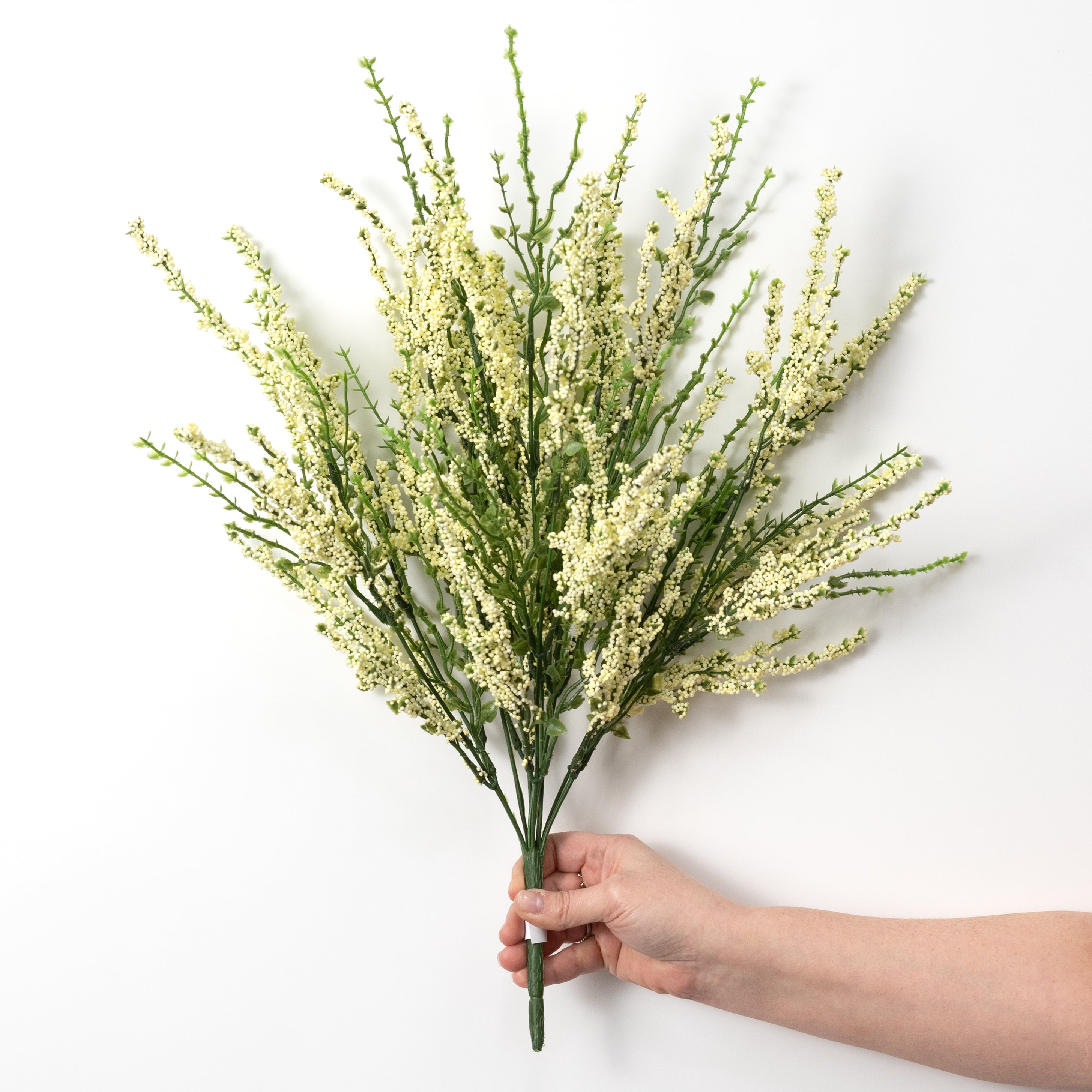 21" Erica Bush Seeded Heather: Cream (12 Stem)