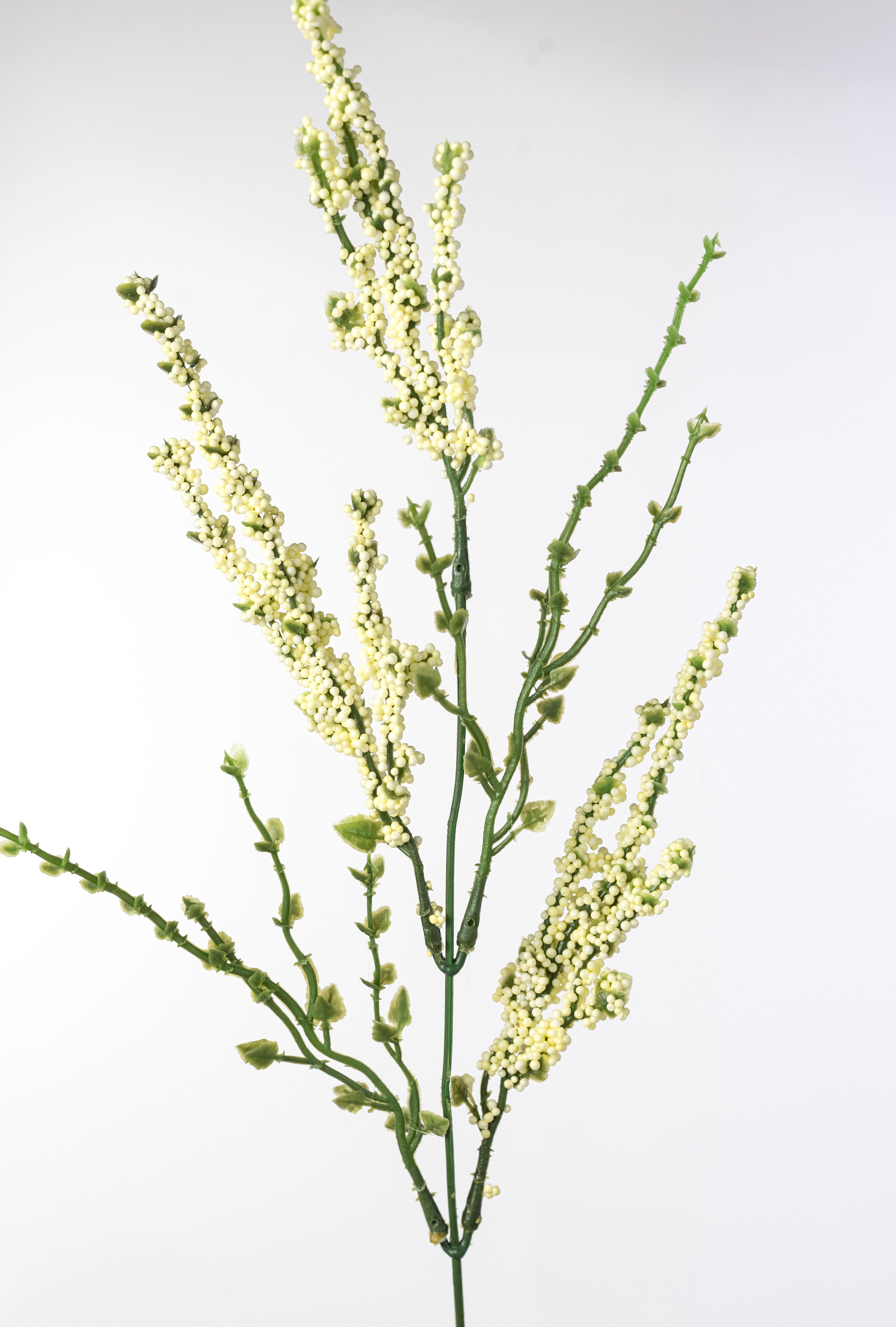 21" Erica Bush Seeded Heather: Cream (12 Stem)
