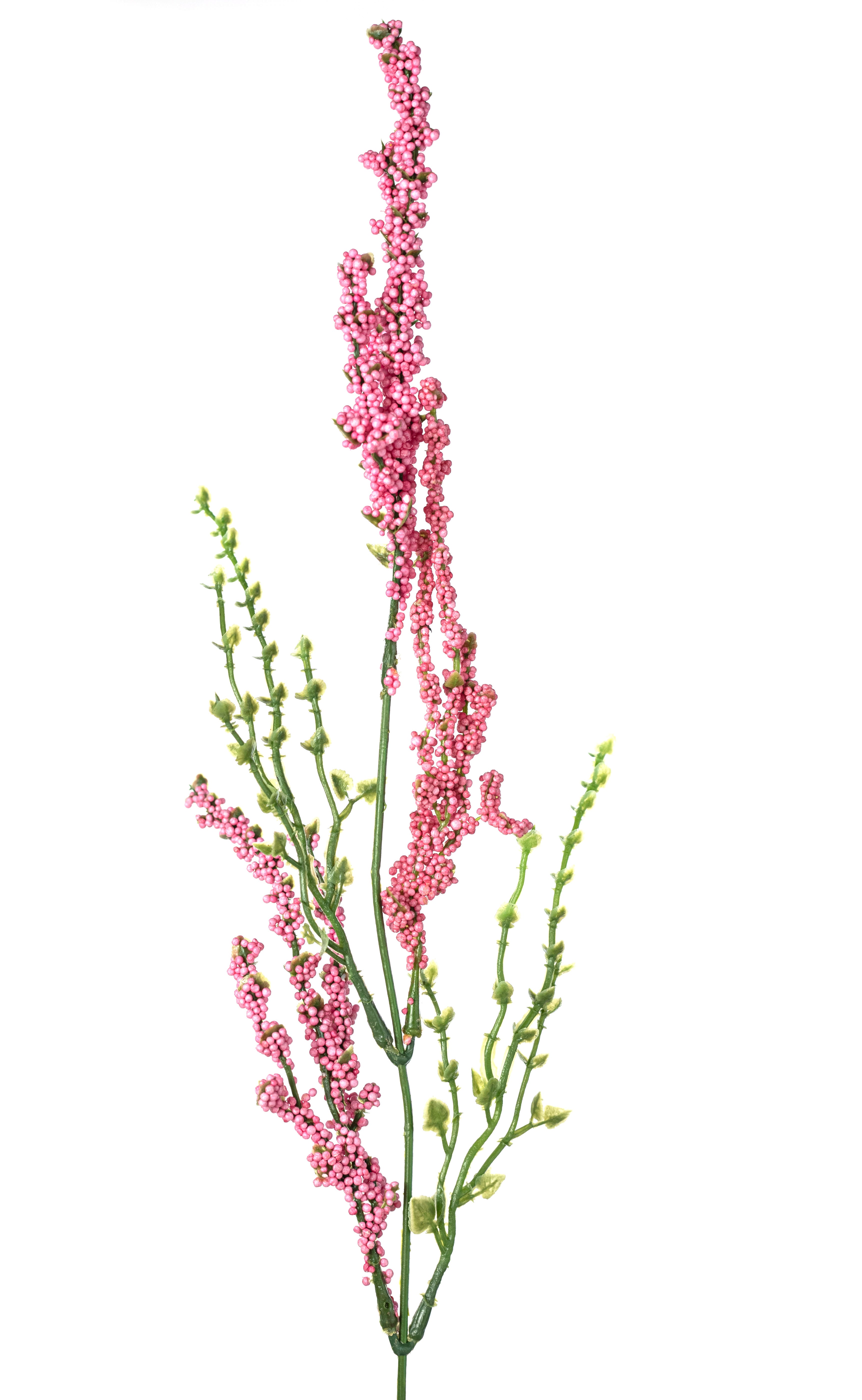 21" Erica Bush Seeded Heather: Pink (12 Stem)