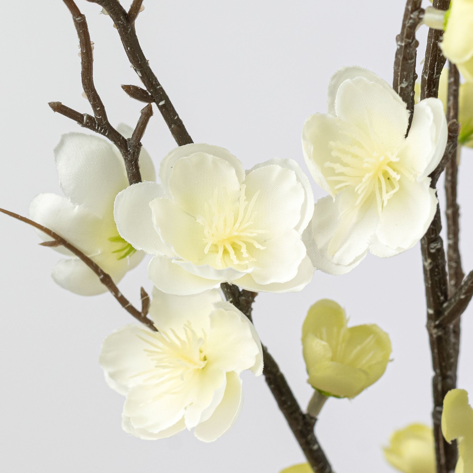 32" Quince Blossom Spray: Cream White