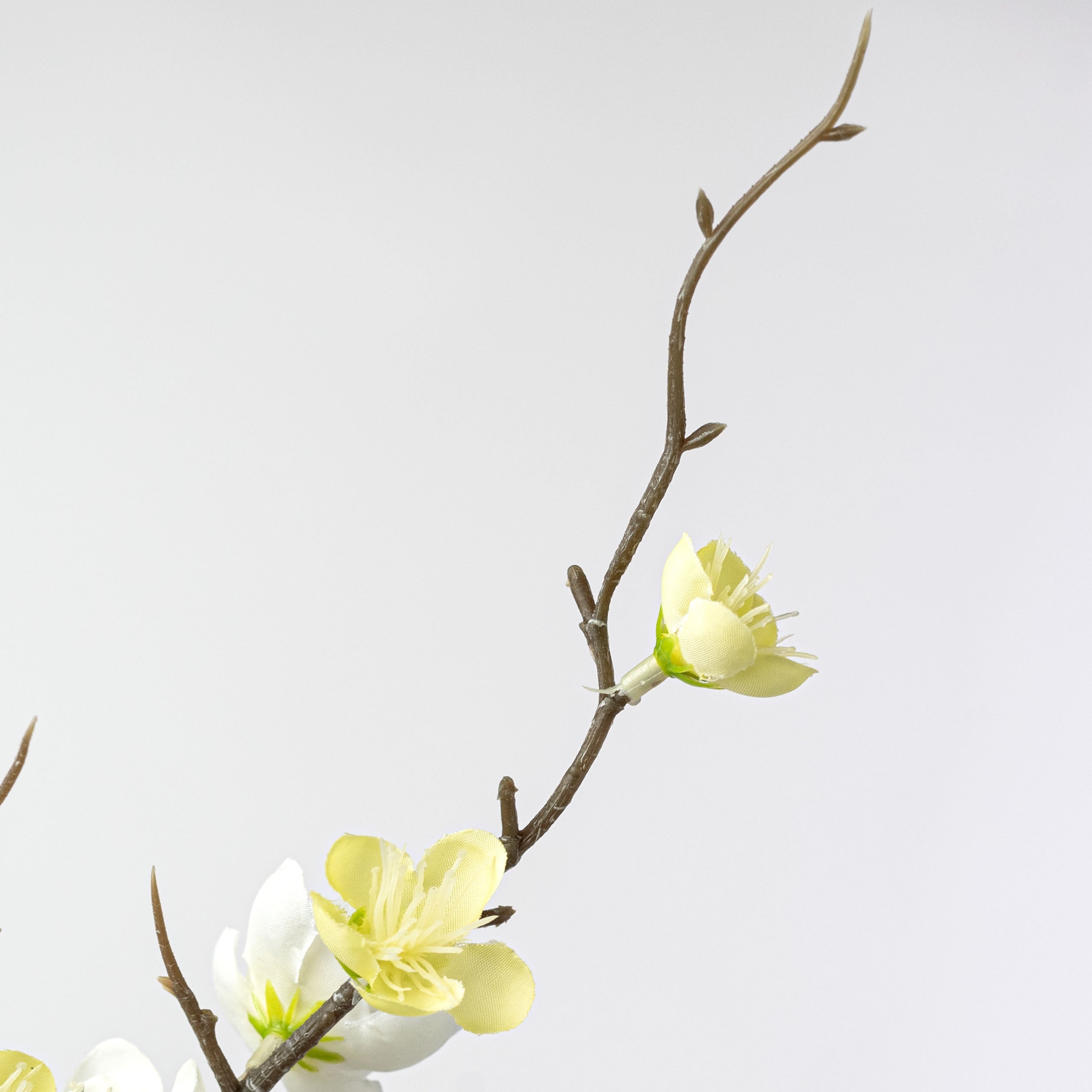 32" Quince Blossom Spray: Cream White