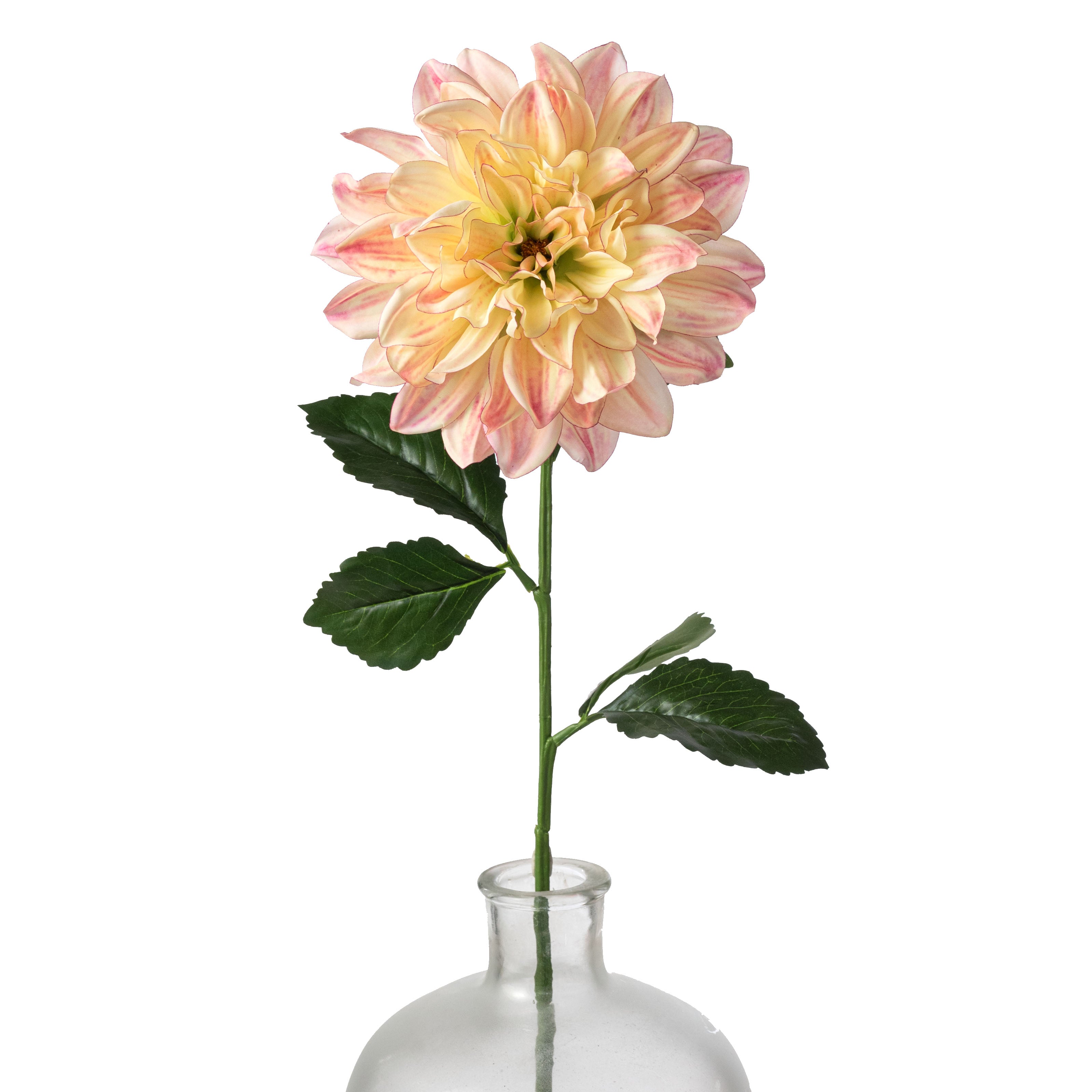 小物 dahlia dahlia 27