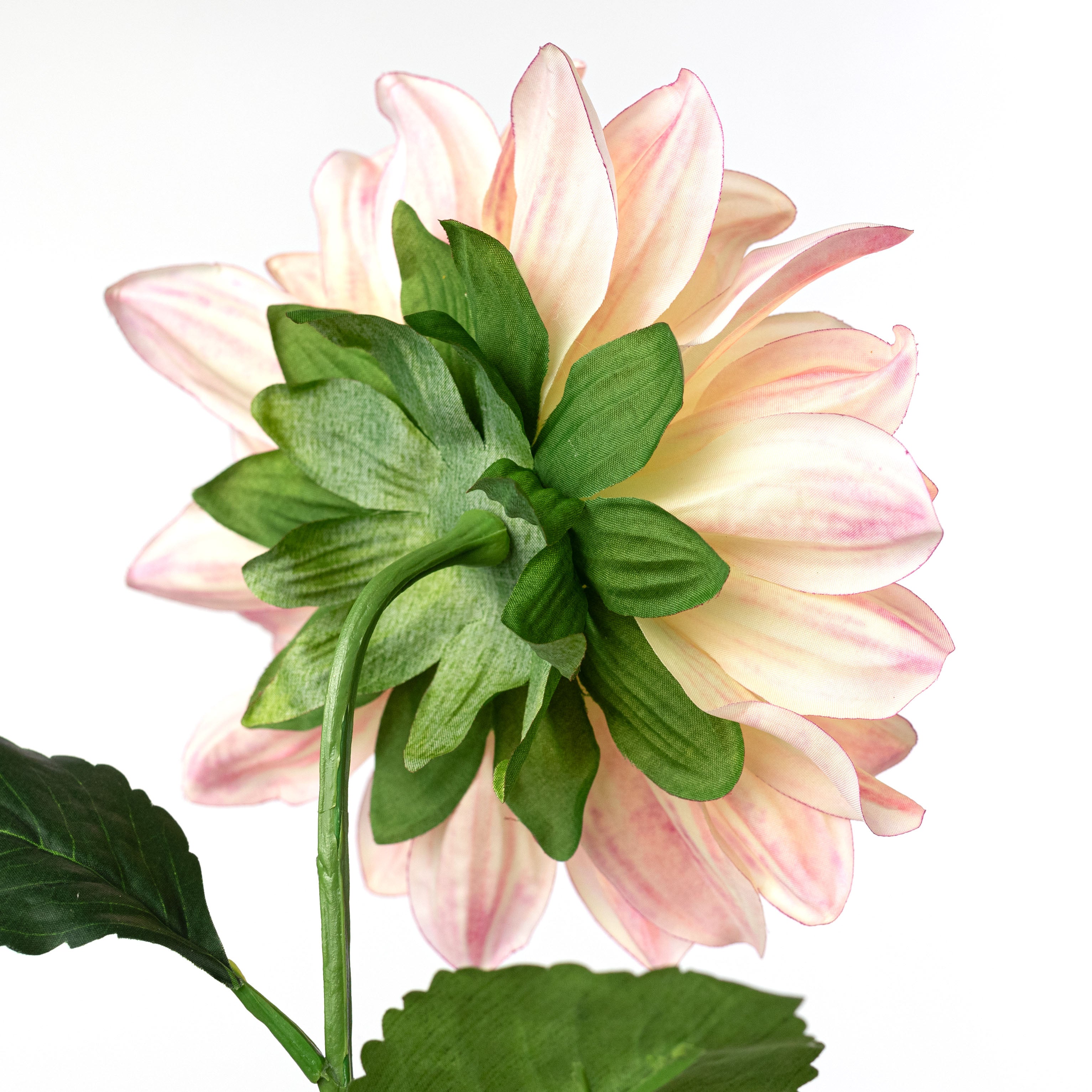 27" Dahlia Stem: Pink & Yellow