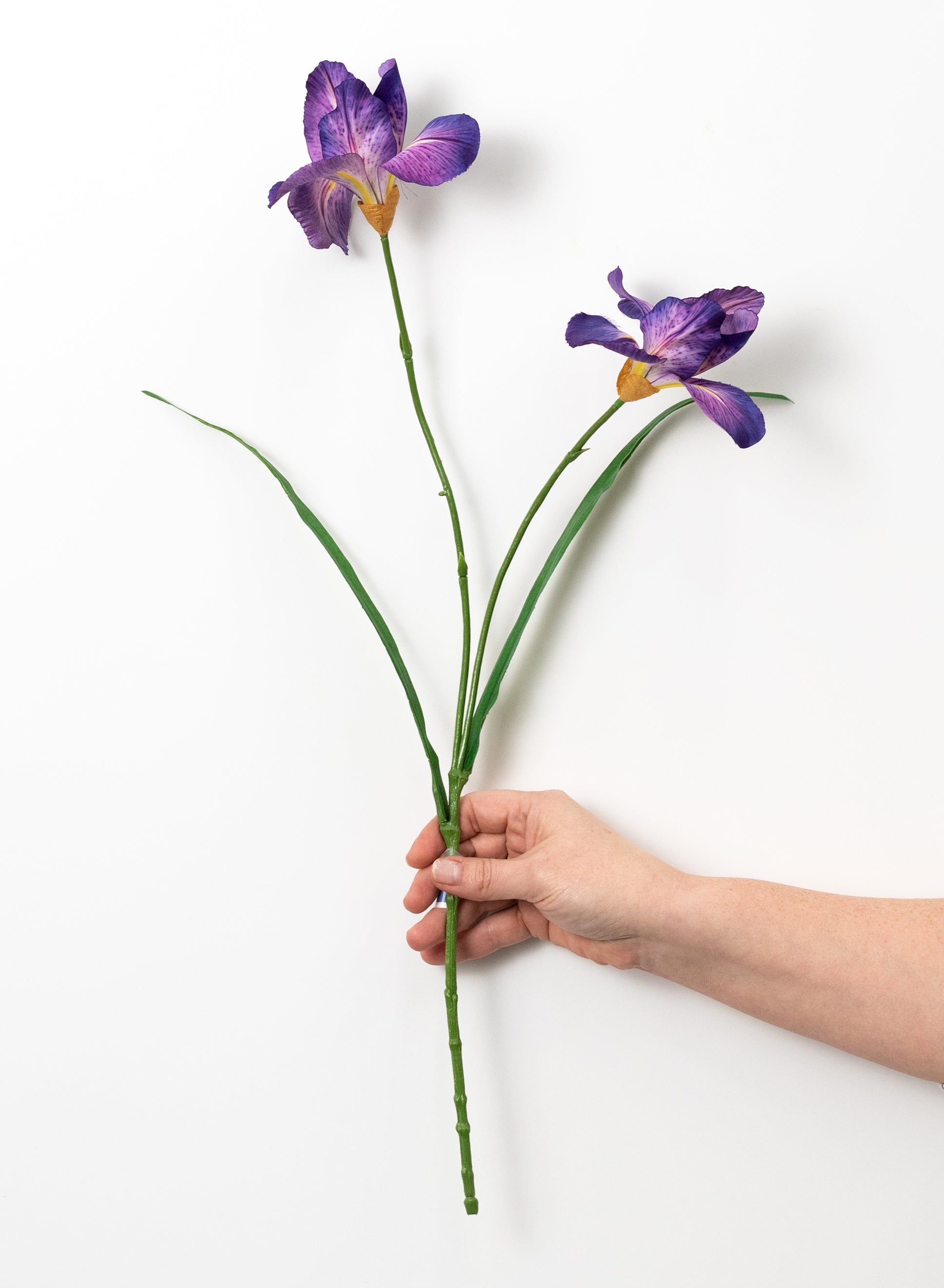 22" Wild Iris Spray: Purple