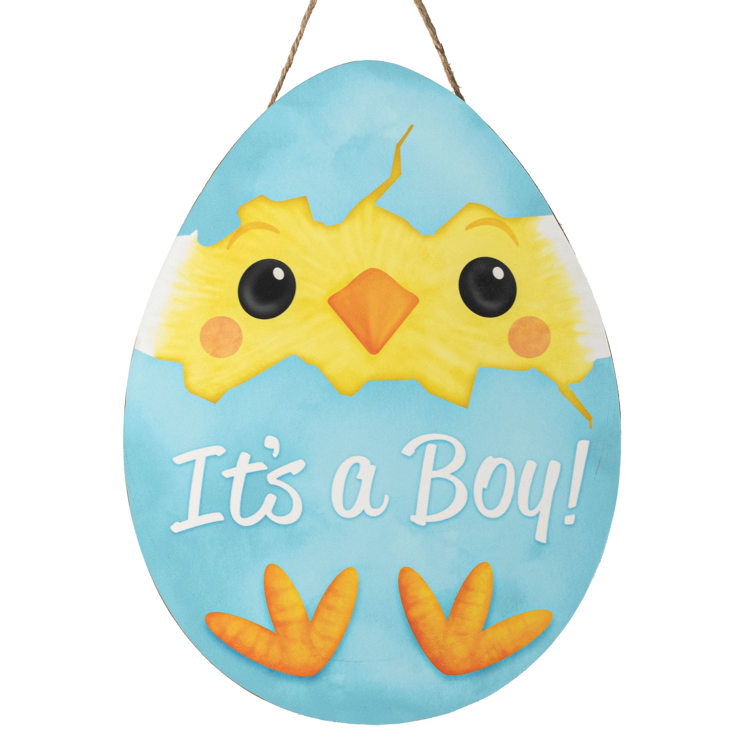 12" Wooden Sign: It's a Boy Chick Egg