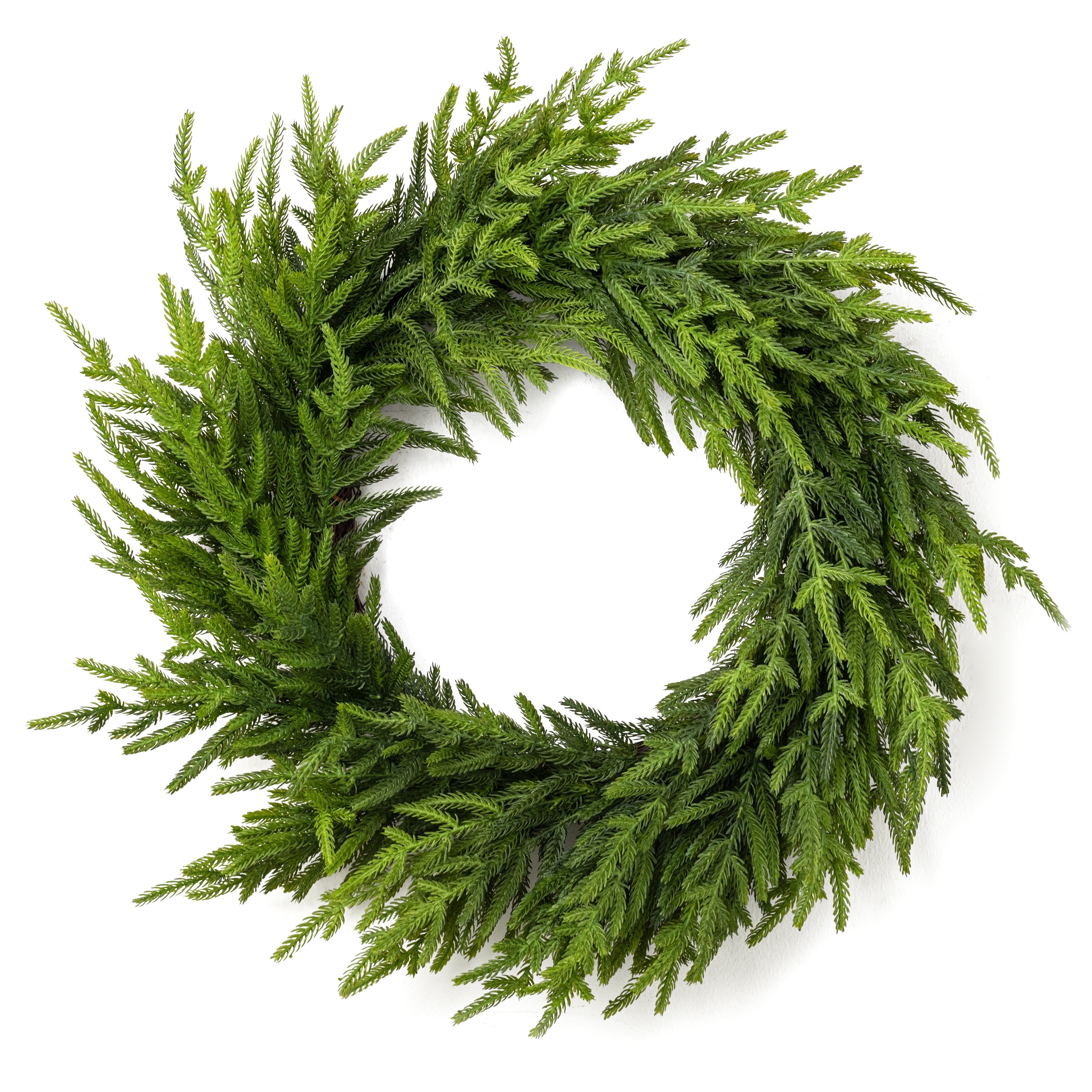 24" Real Touch Norfolk Pine Wreath