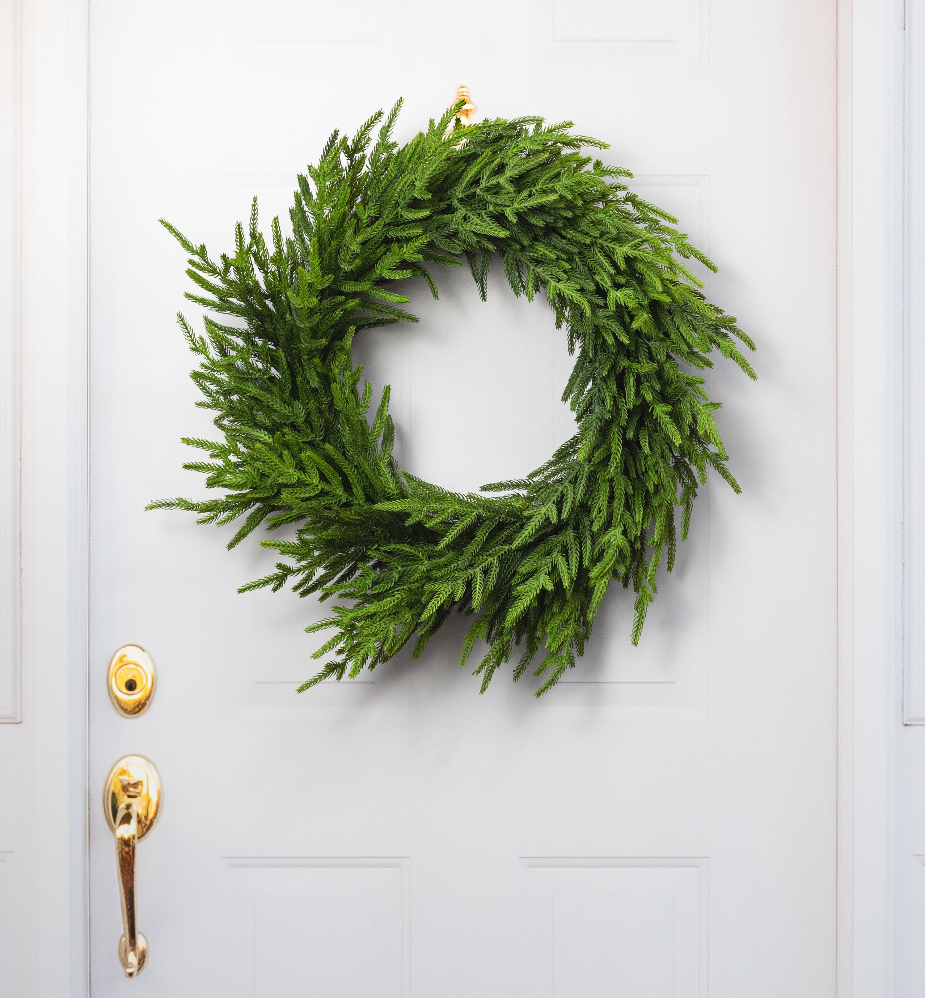 24" Real Touch Norfolk Pine Wreath