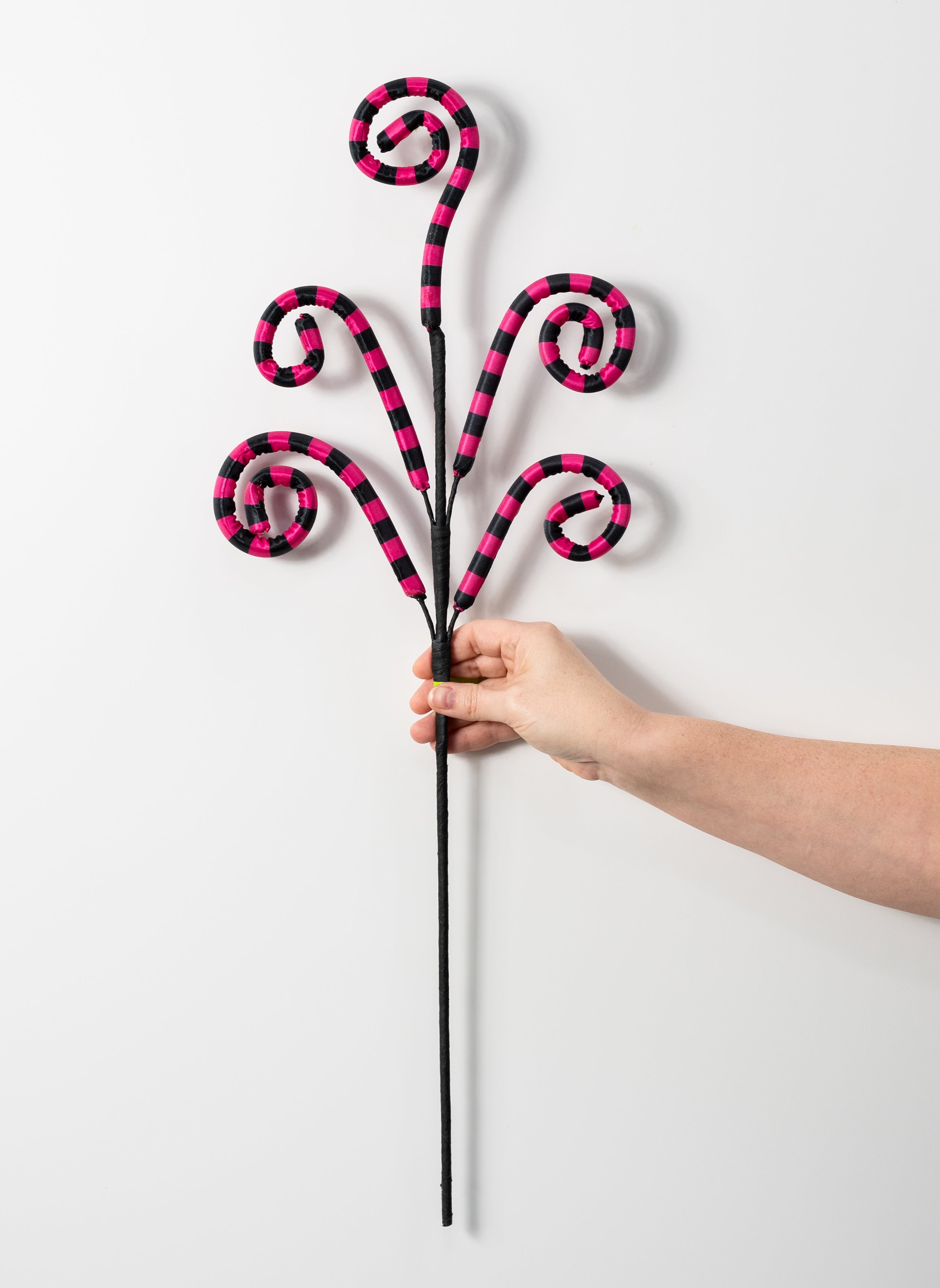 26" Striped Curly Spray: Fuchsia Pink & Black