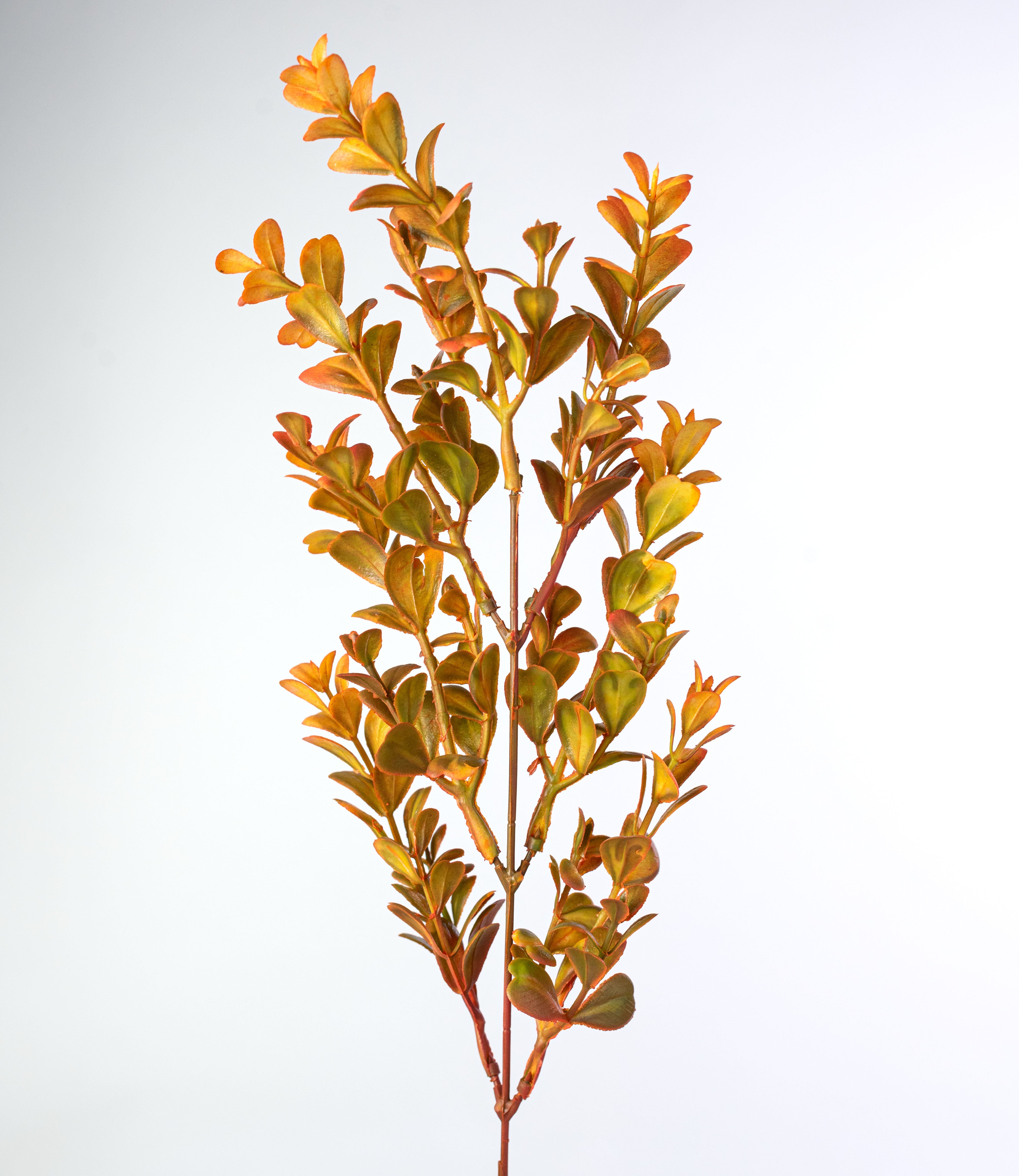 20" Plastic Boxwood Bush: Fall Orange