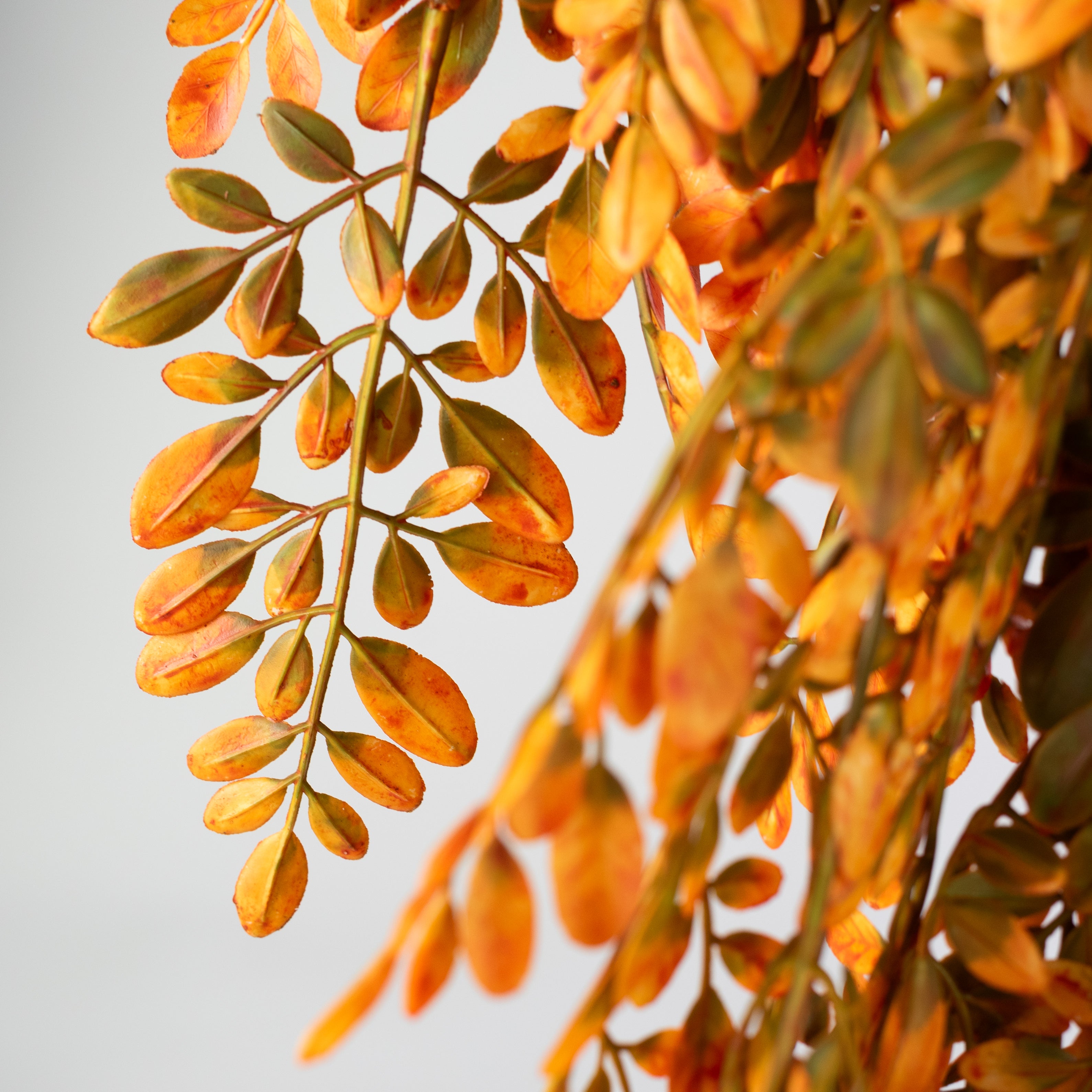 34" Plastic Herb of Grace Leaves Hanging Bush: Orange (5 Stem)