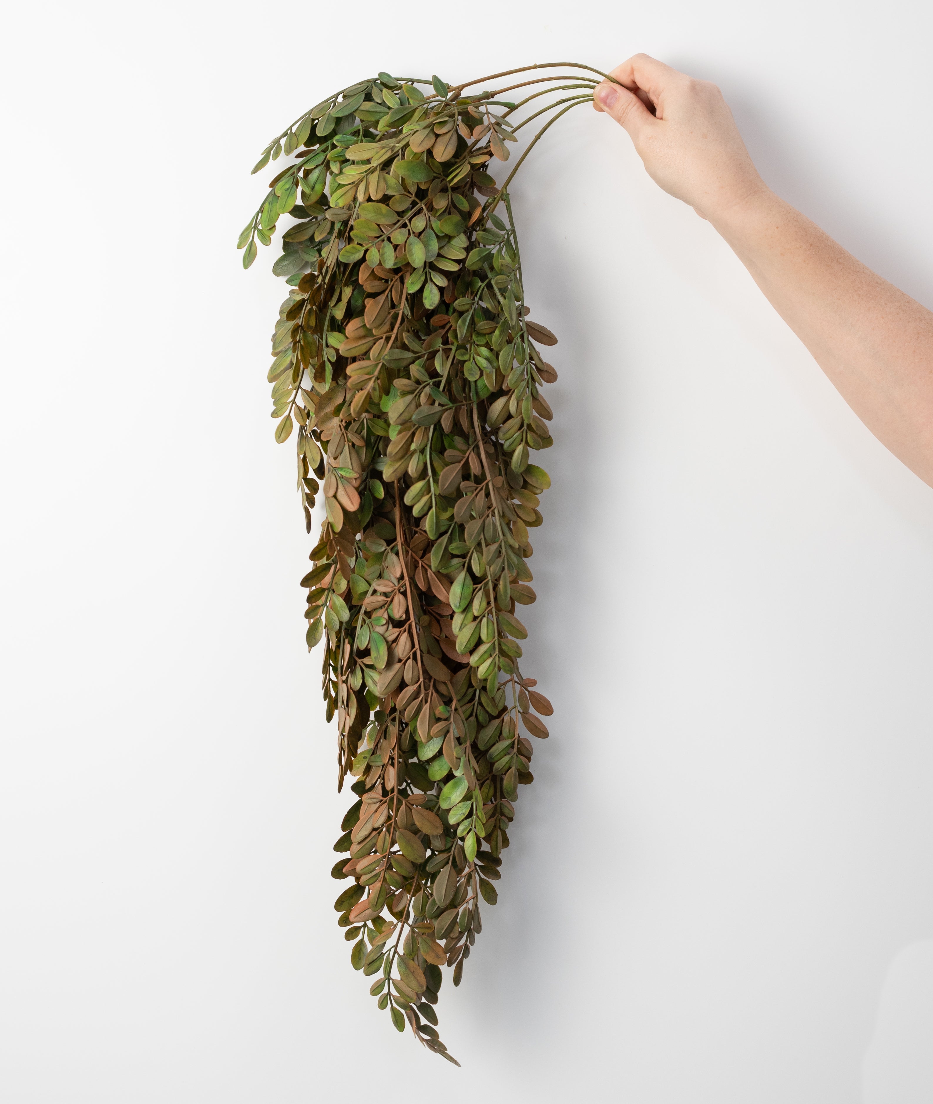 34" Plastic Herb of Grace Leaves Hanging Bush: Sage Green (5 Stem)