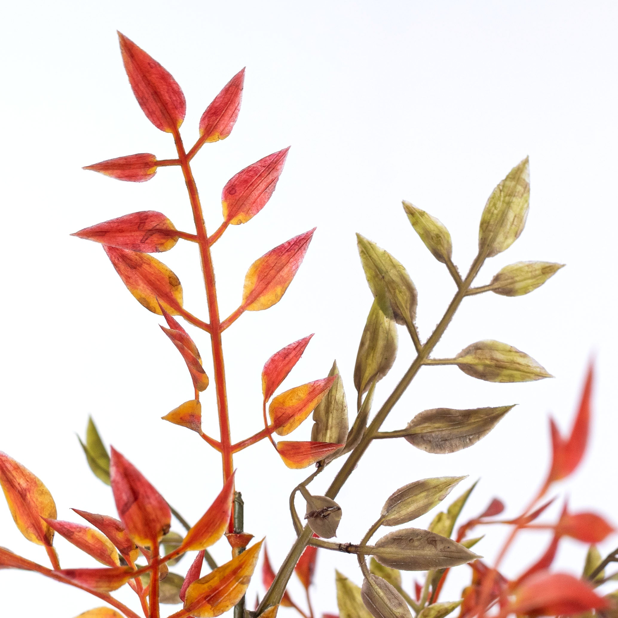 18" Fall Smilax Greenery Bush