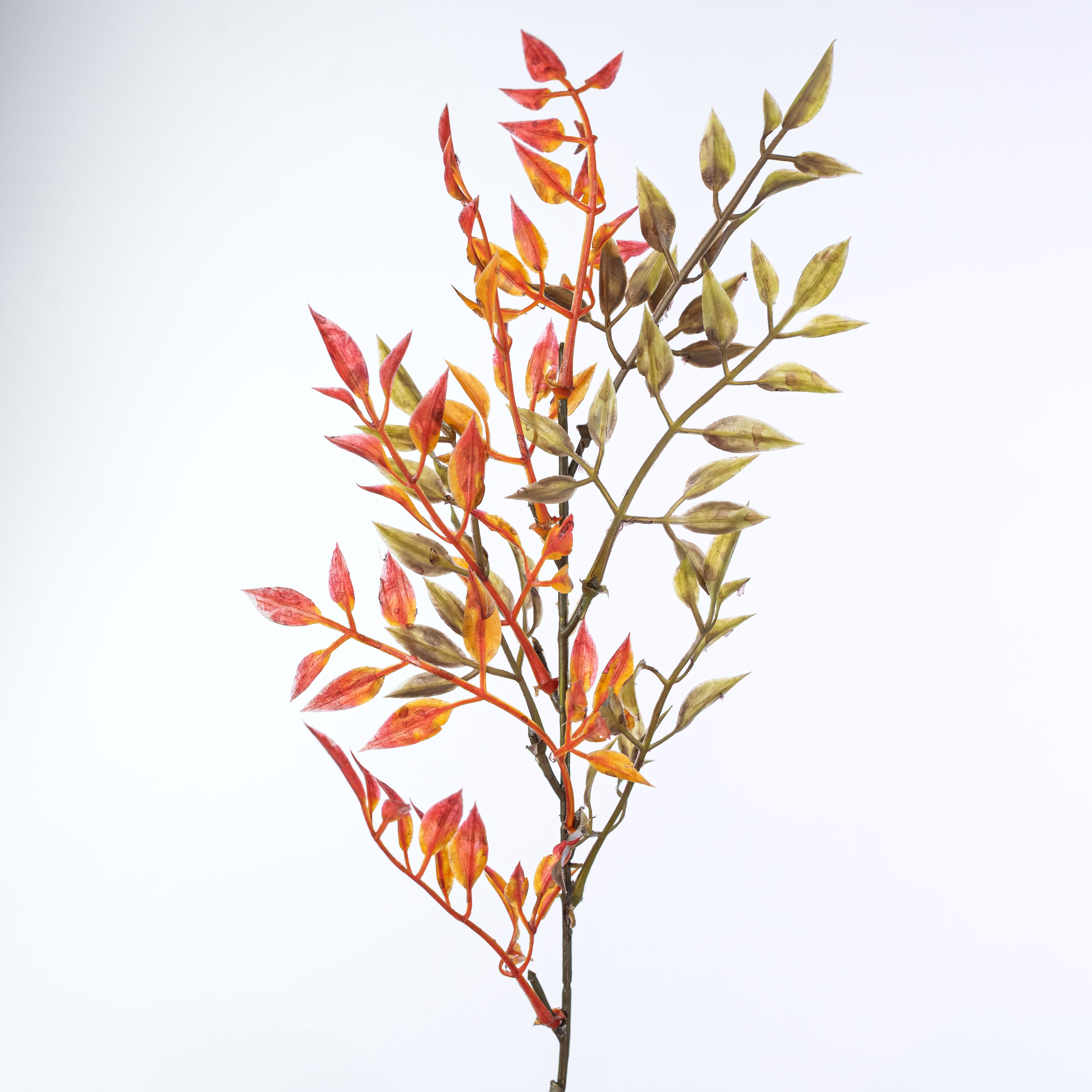 18" Fall Smilax Greenery Bush