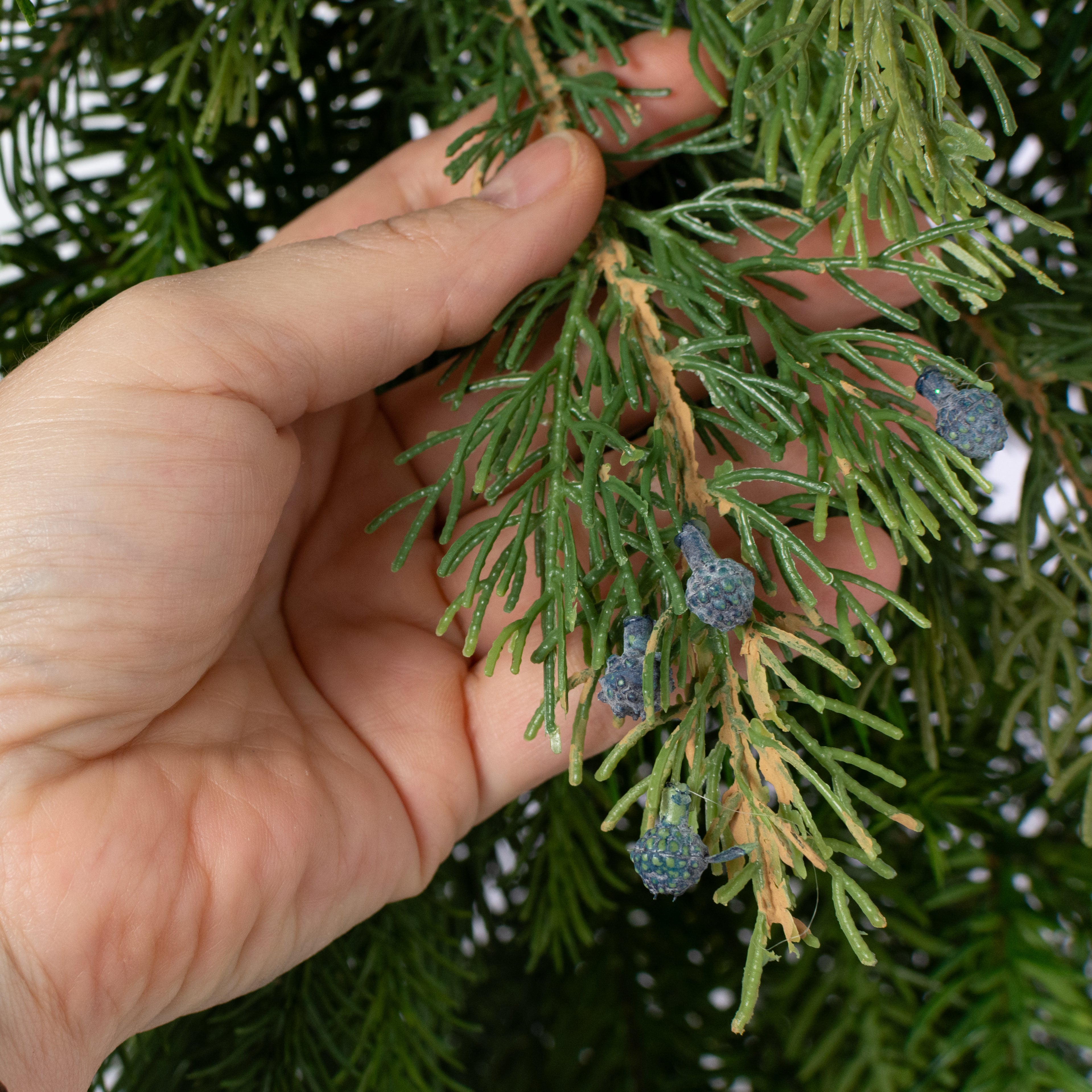32" Belgium Pine Teardrop Swag: Evergreen (35 Tips)