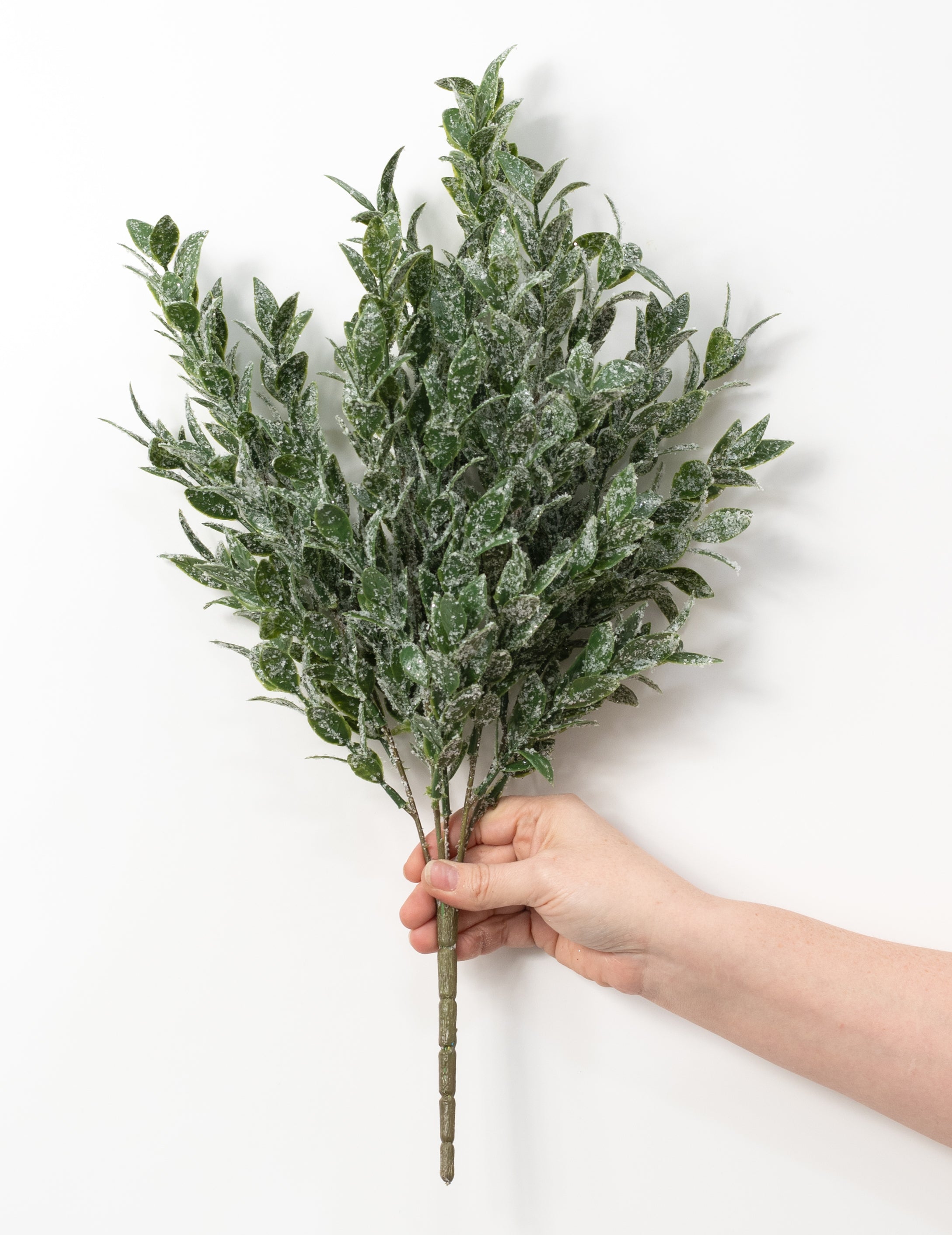21" Iced Ruscus Leaves Bush (5 Stem)