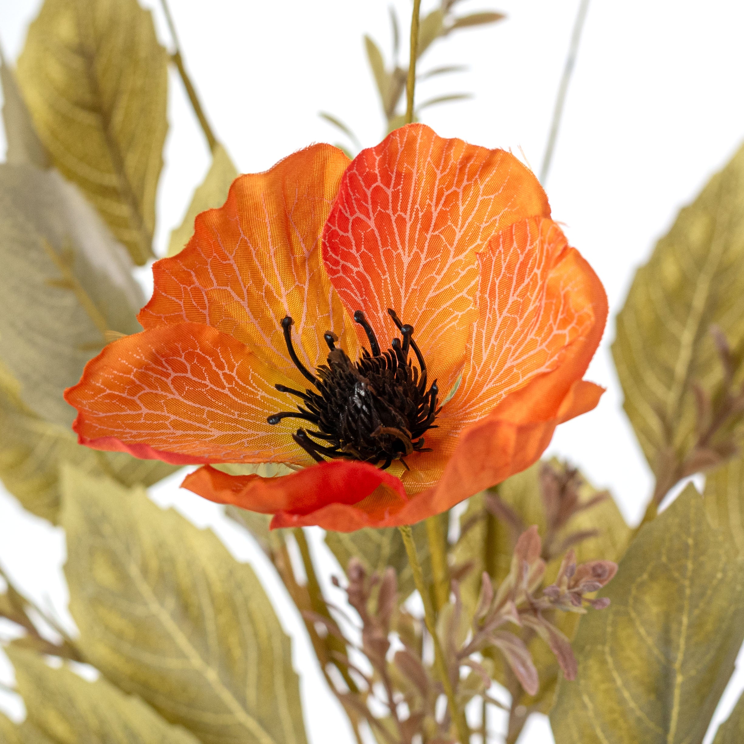 20" Mixed Fall Poppy Bush: Orange