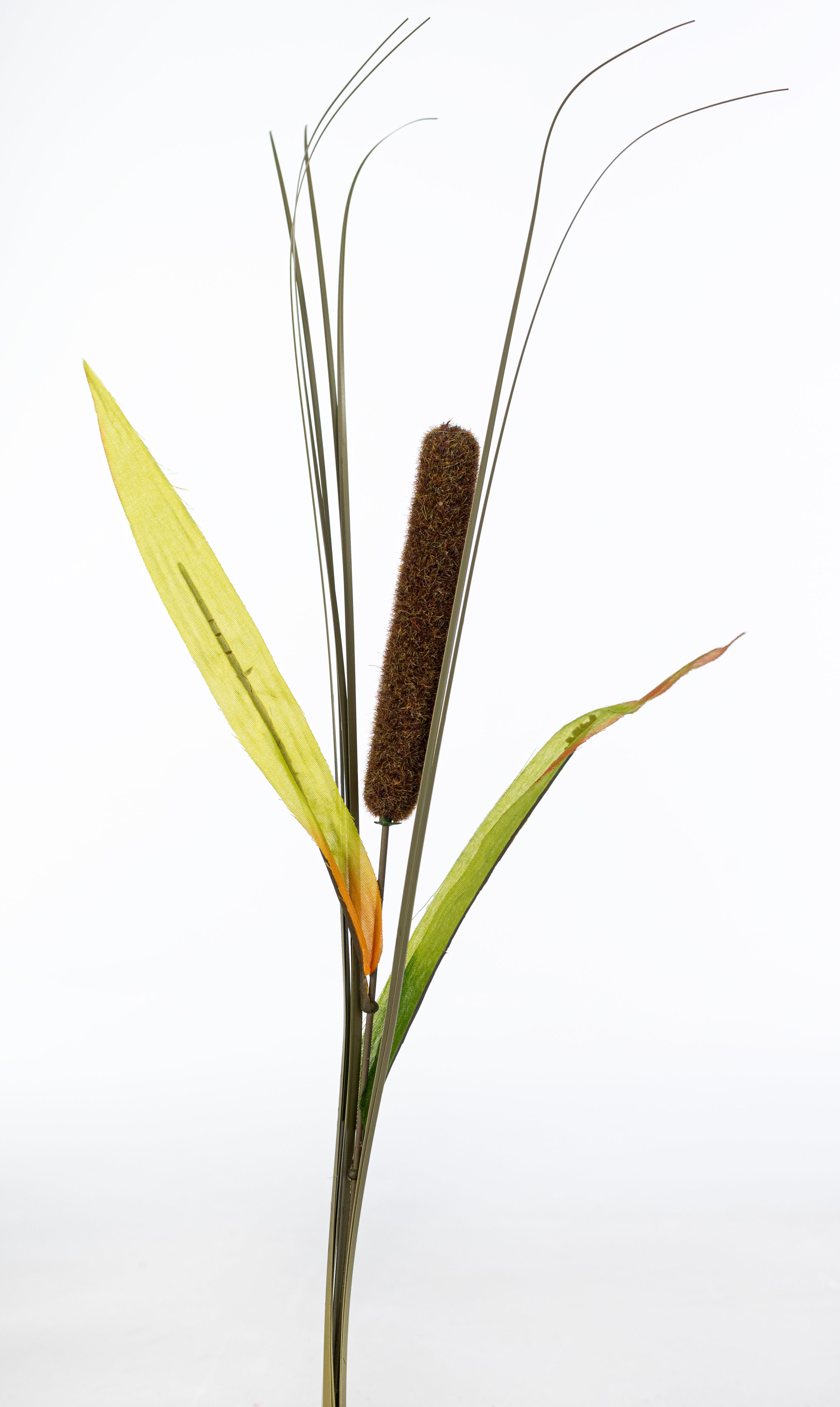 21" Artificial Cattail Bush: Brown (10 Stem)