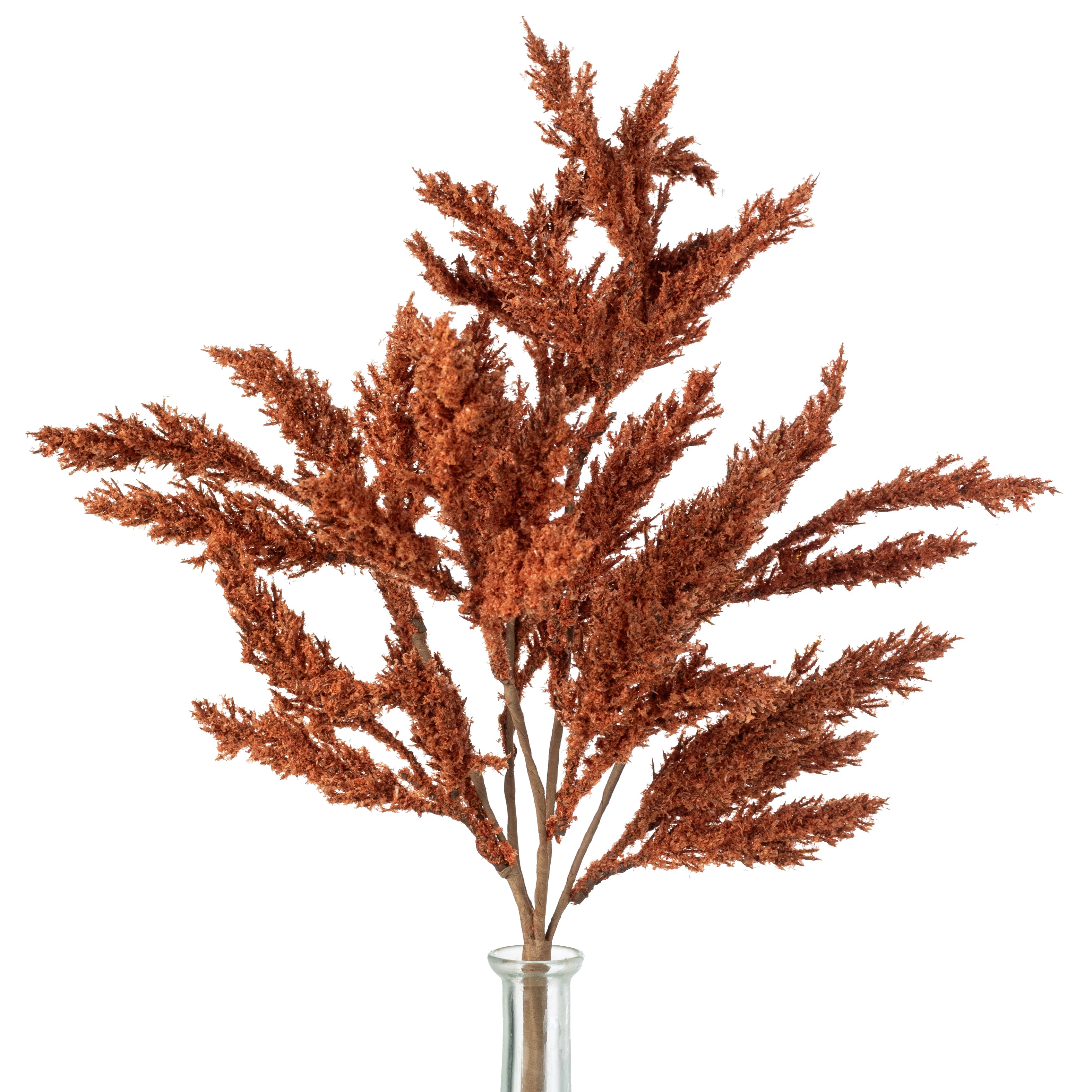 21" Feather Reed Bush: Rust Orange (5 Stem)