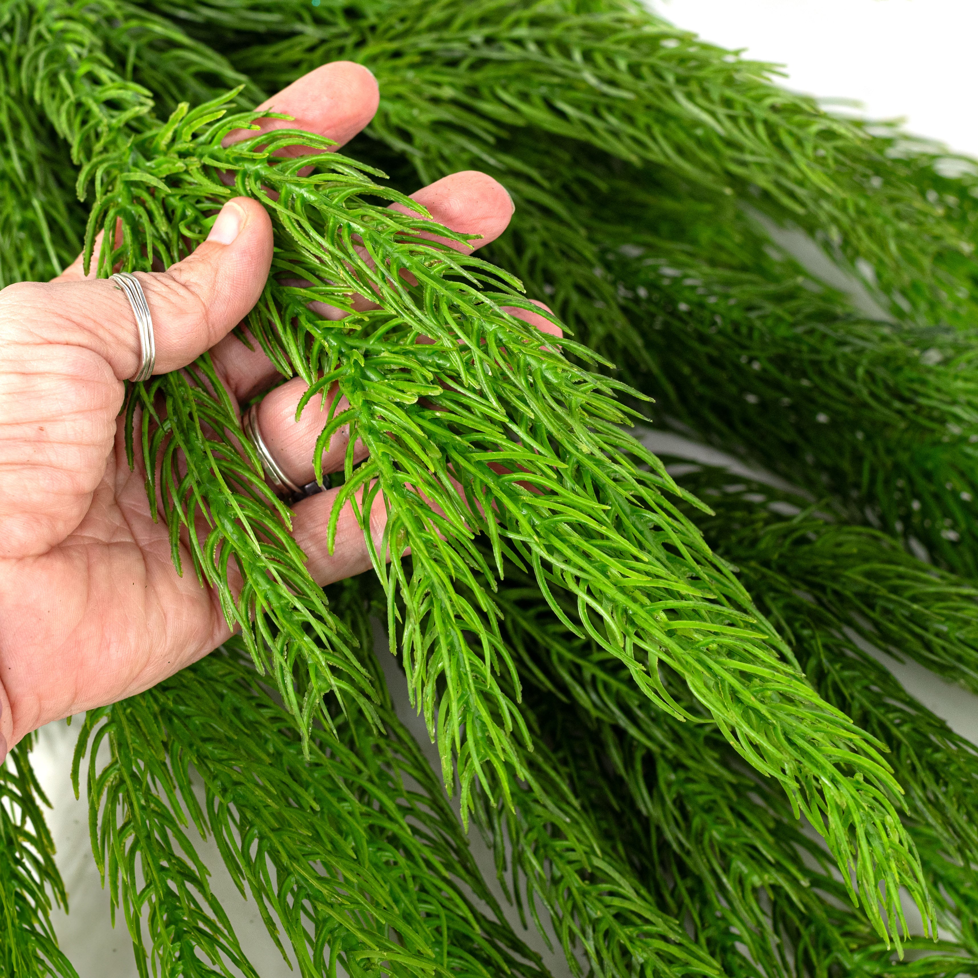 26" Sitka Spruce Teardrop: Green