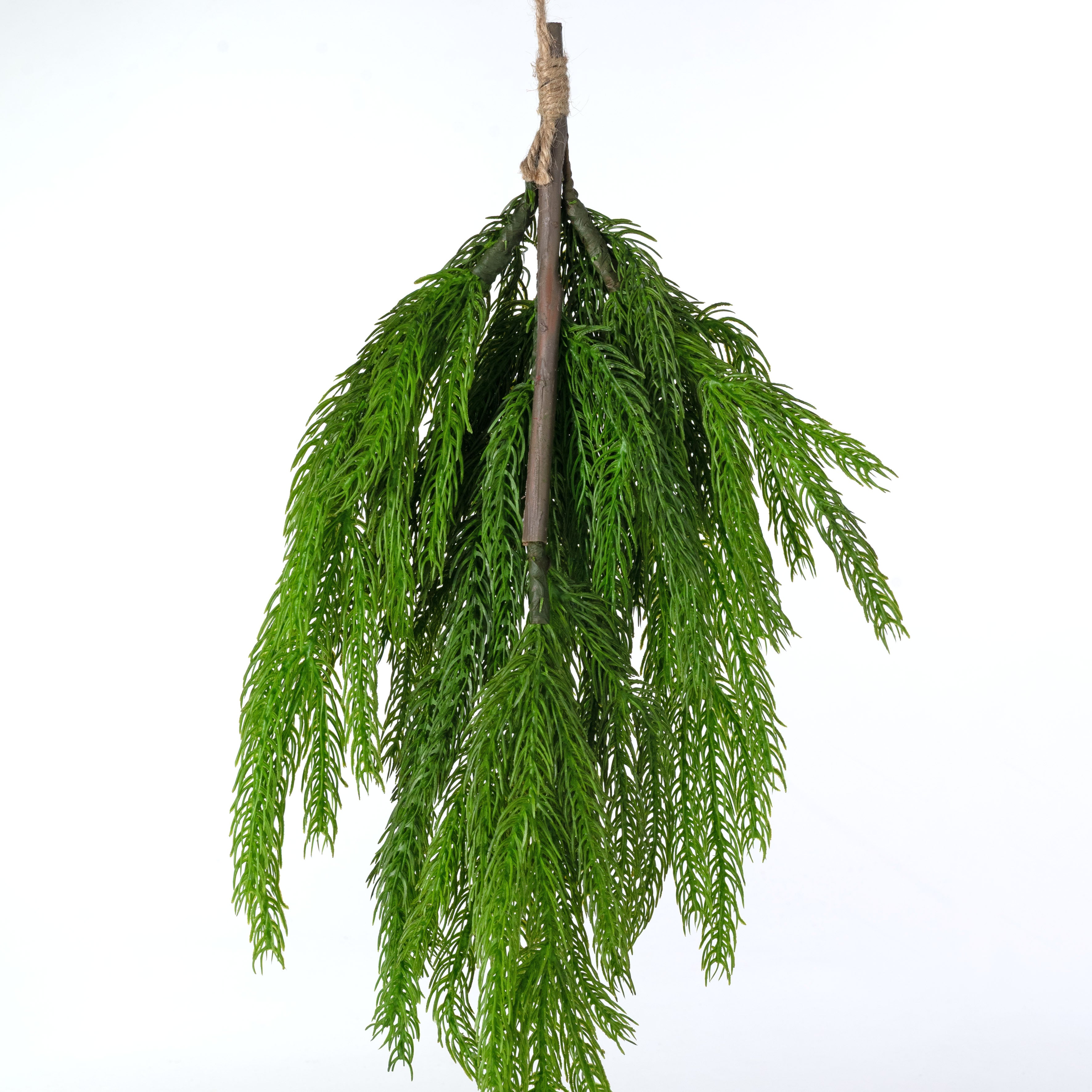 26" Sitka Spruce Teardrop: Green
