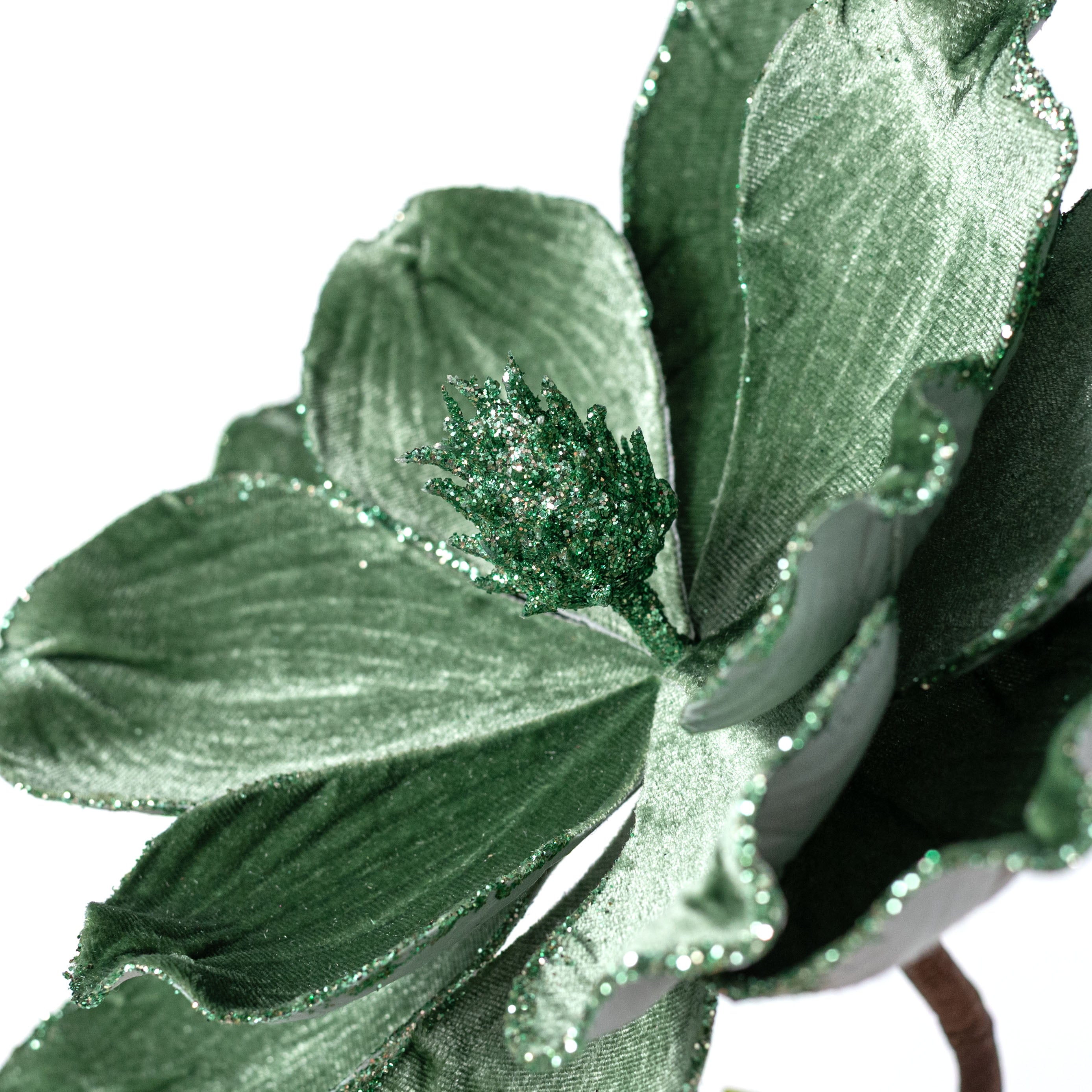 24" Velvet Magnolia Stem: Sage Green