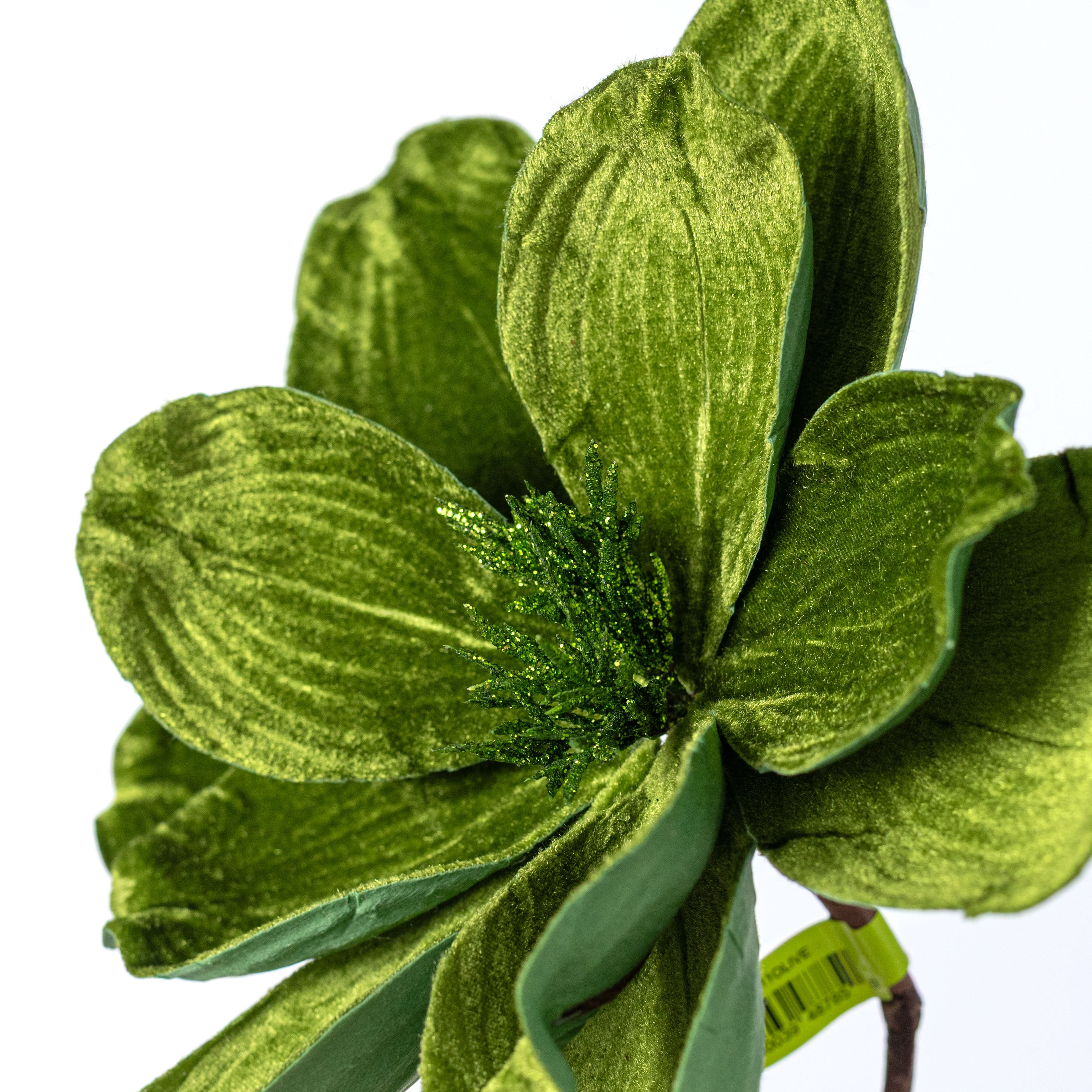 24" Velvet Magnolia Stem: Olive Green