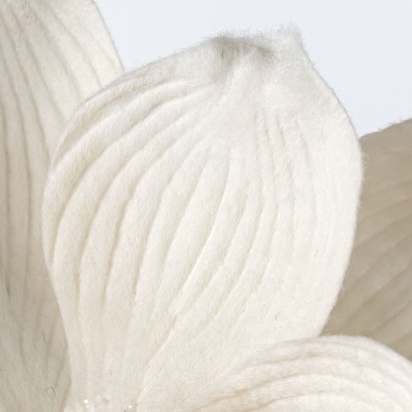 22" Felt Magnolia Flower Stem: Ivory Cream