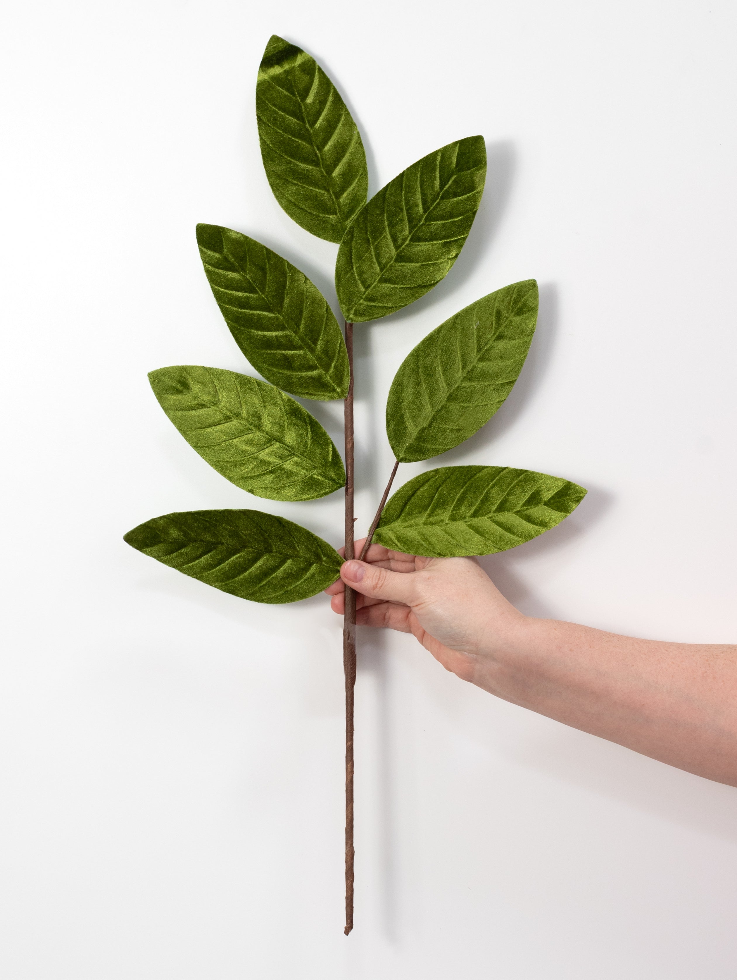 24" Velvet Magnolia Leaves Spray: Sage Green