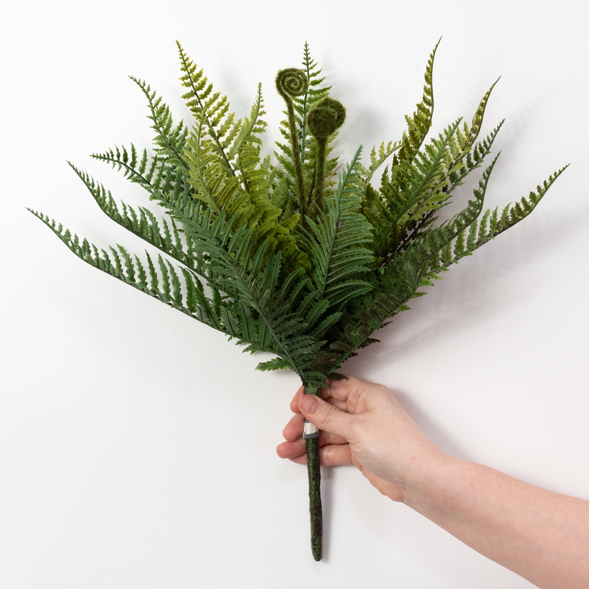 13" Fiddlehead Fern Bush