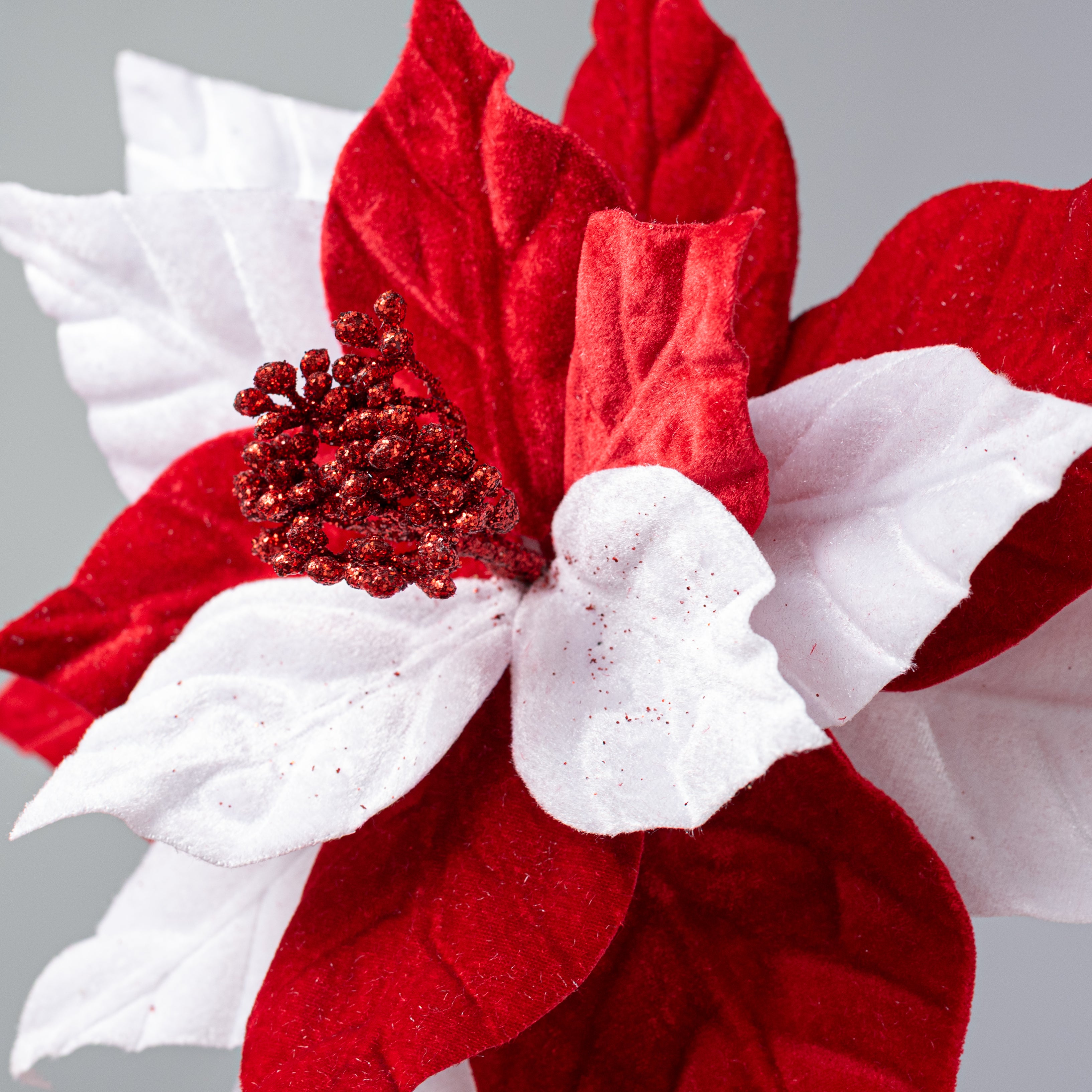 11" x 22" Velvet Peppermint Poinsettia Stem: Red & White