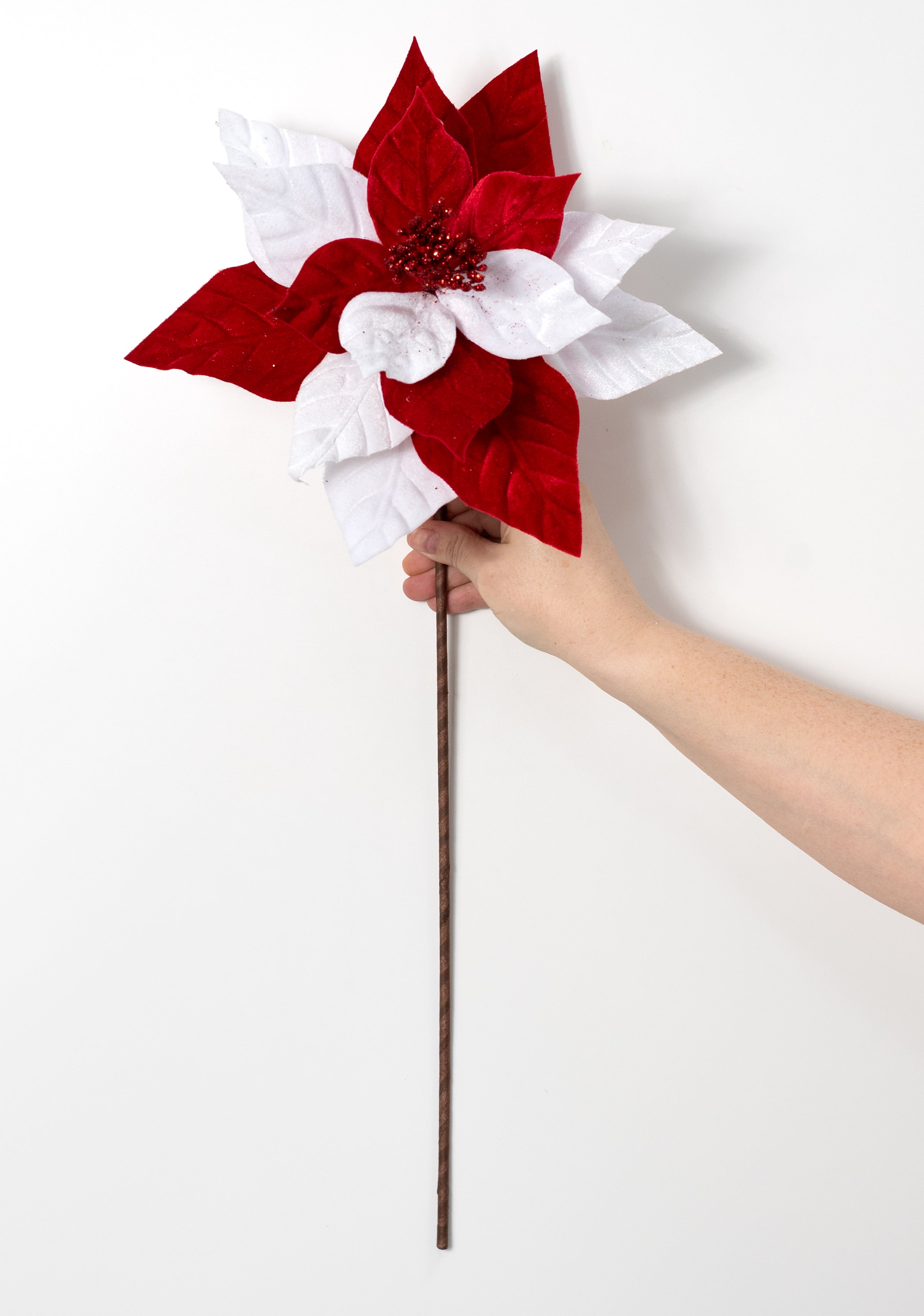 11" x 22" Velvet Peppermint Poinsettia Stem: Red & White