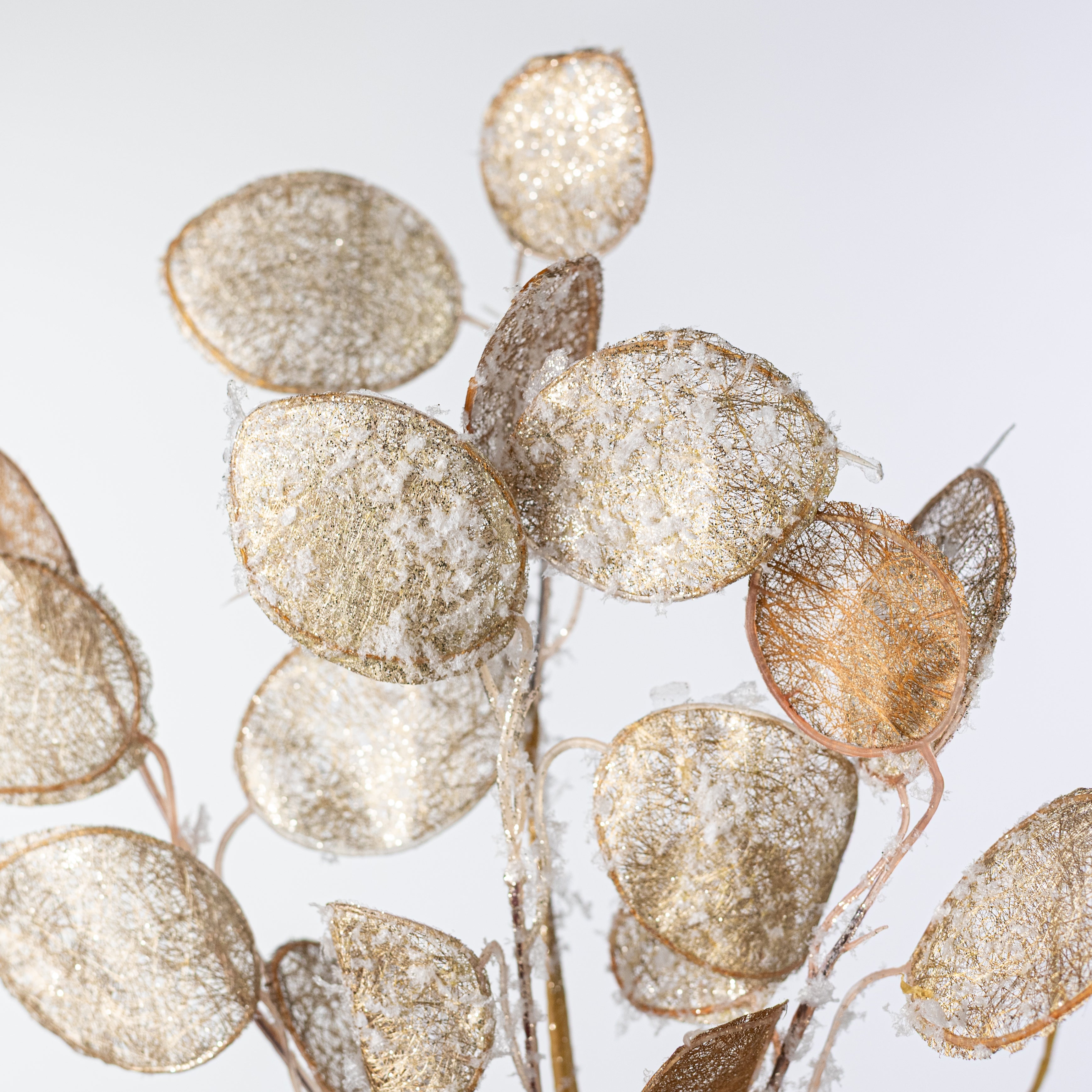 14in Faux Lunaria Silver Dollar Pick: Champagne Gold