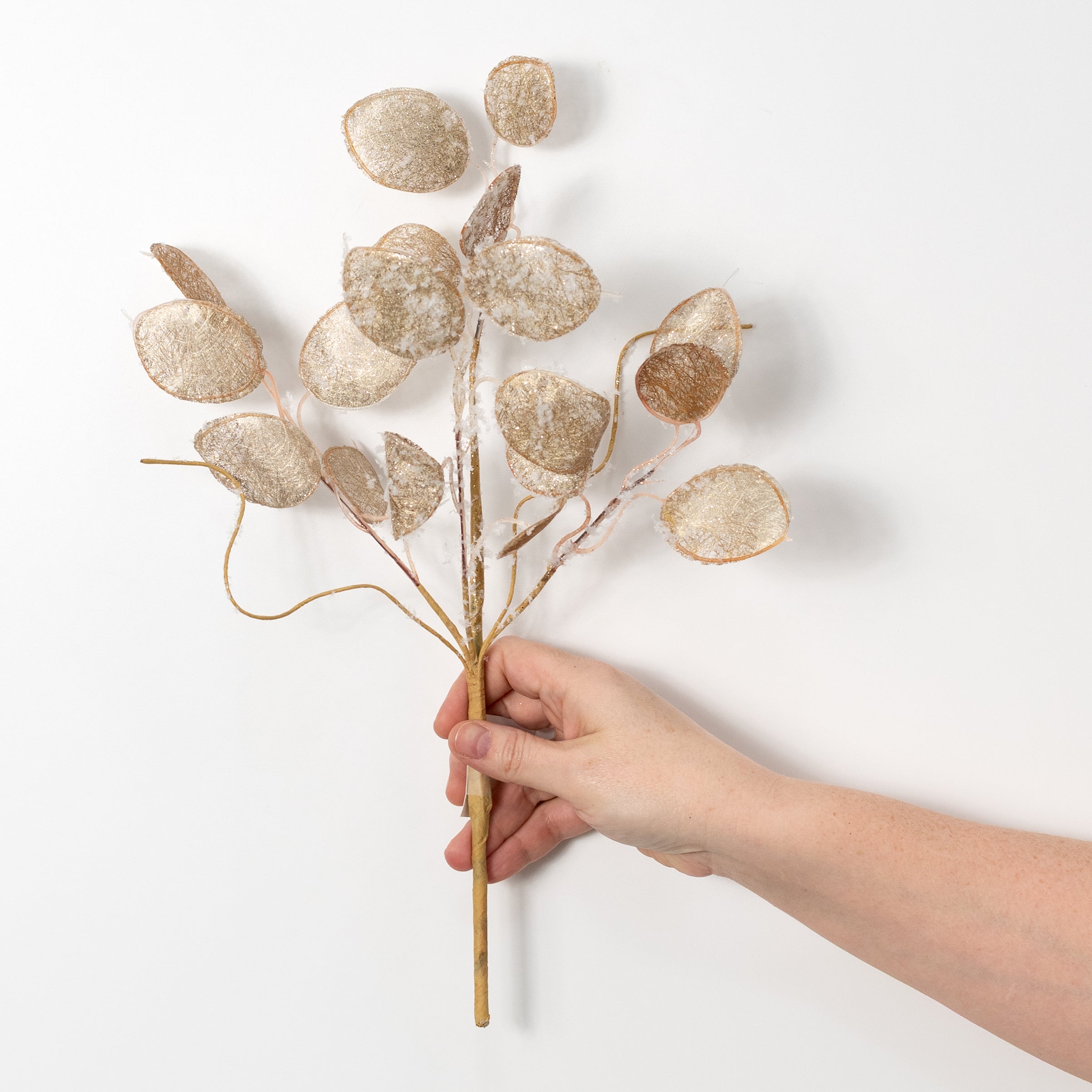 14in Faux Lunaria Silver Dollar Pick: Champagne Gold