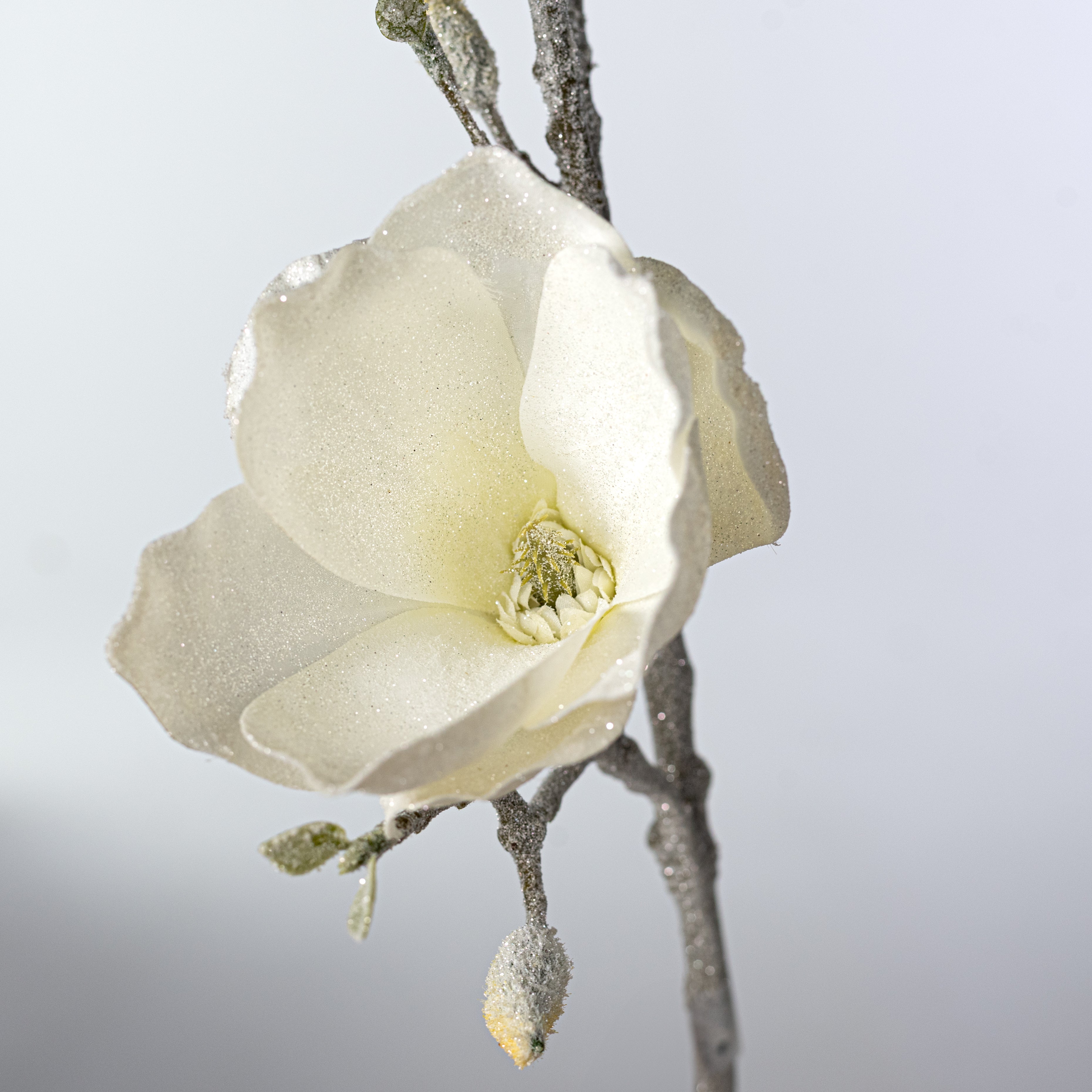 32" Frosted Magnolia Flower & Bud Spray