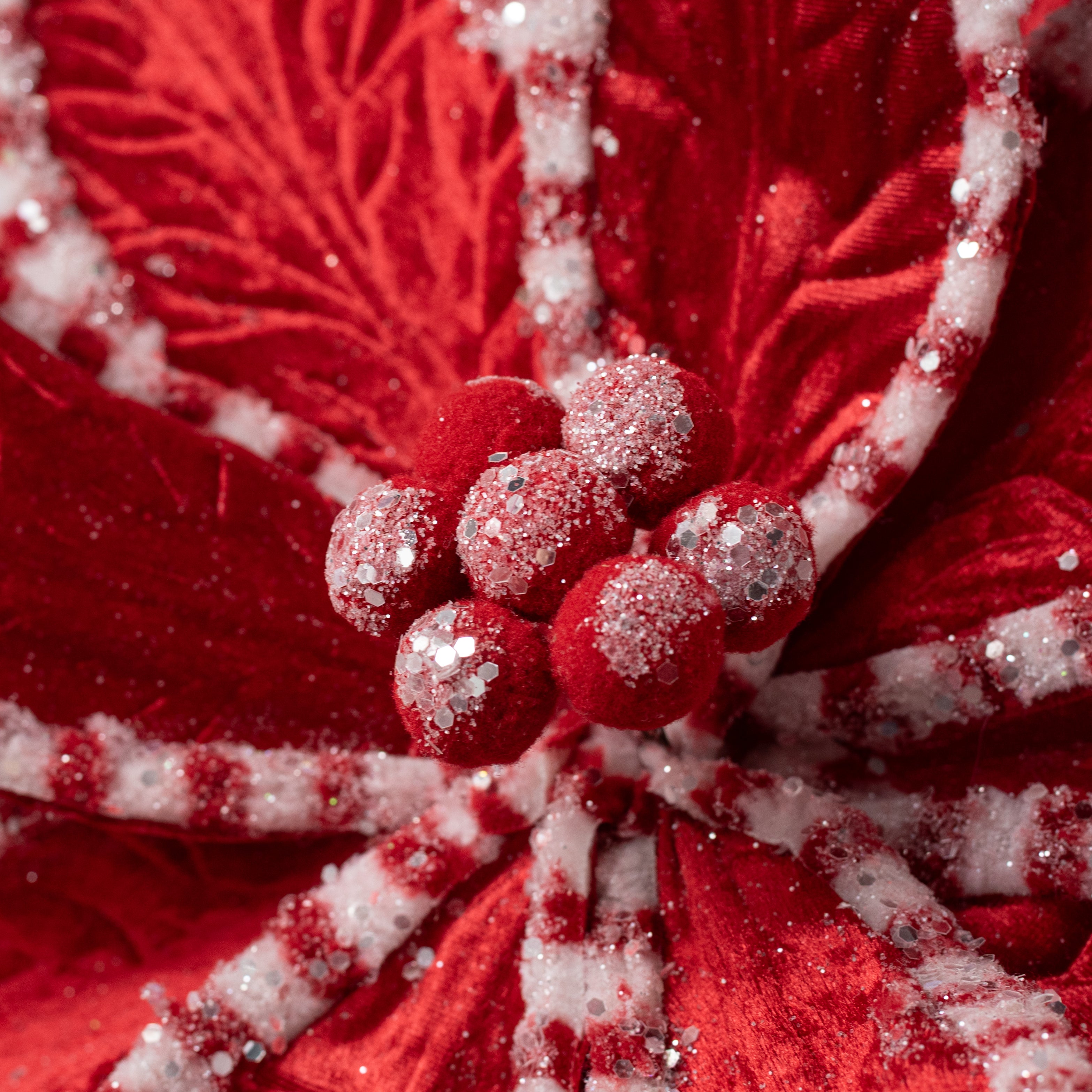 20" x 29" Jumbo Velvet Peppermint Poinsettia Stem: Red & White