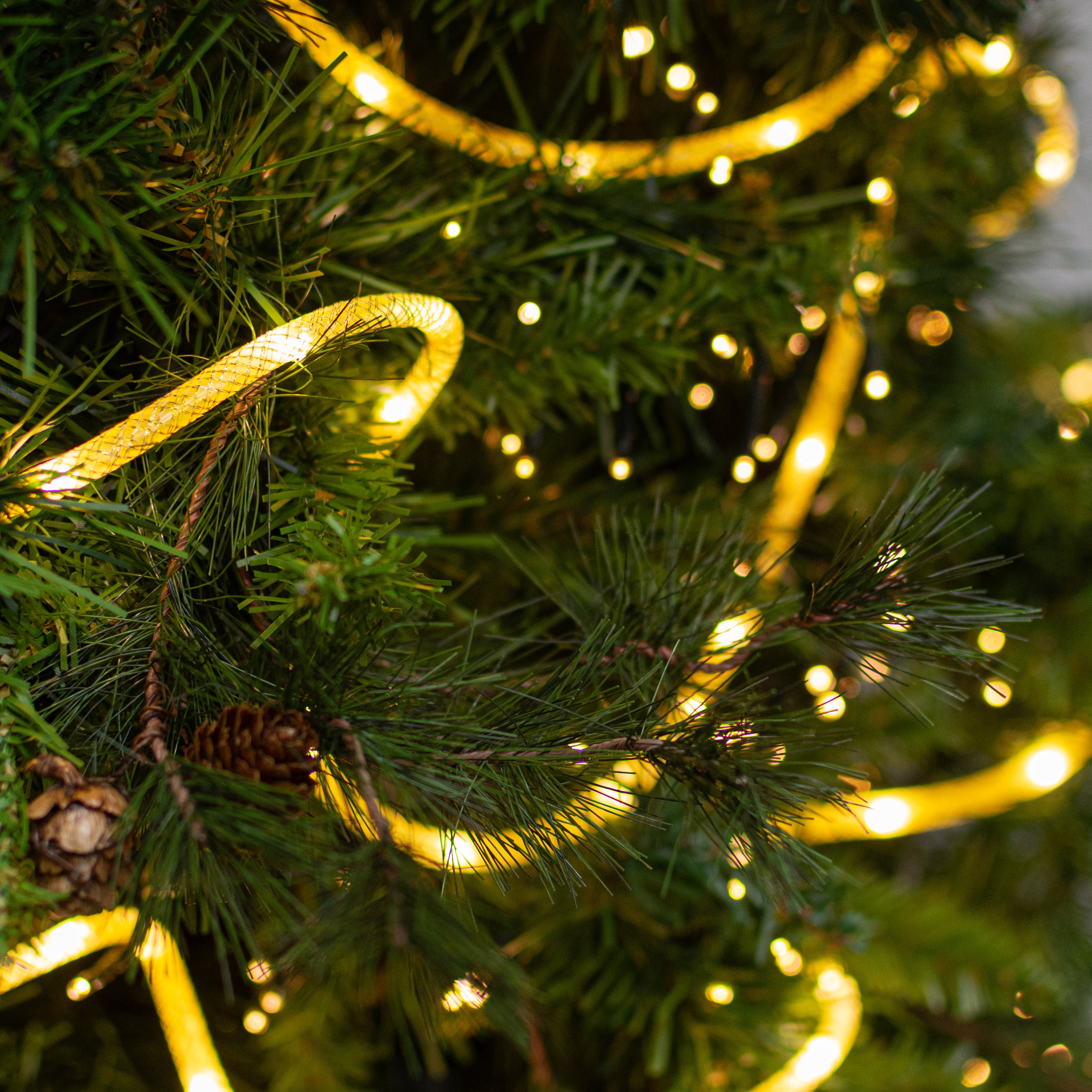 16' LED Rope Lights: Metallic Gold & Warm White