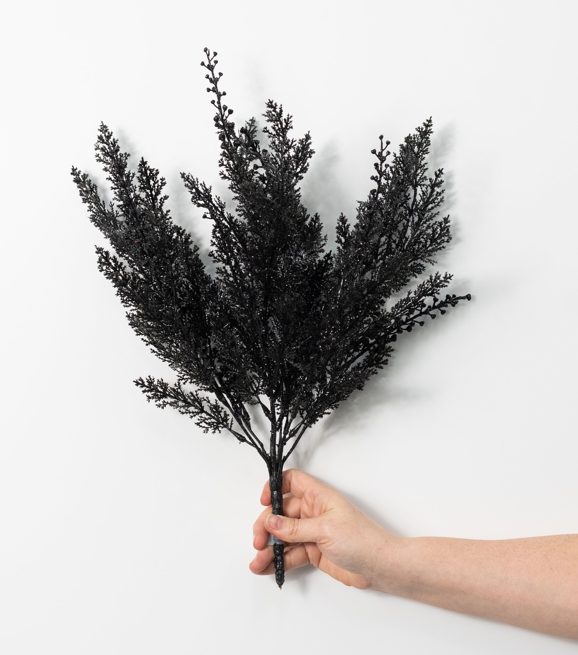 19" Glittered Cypress & Seed Pod Bush: Black