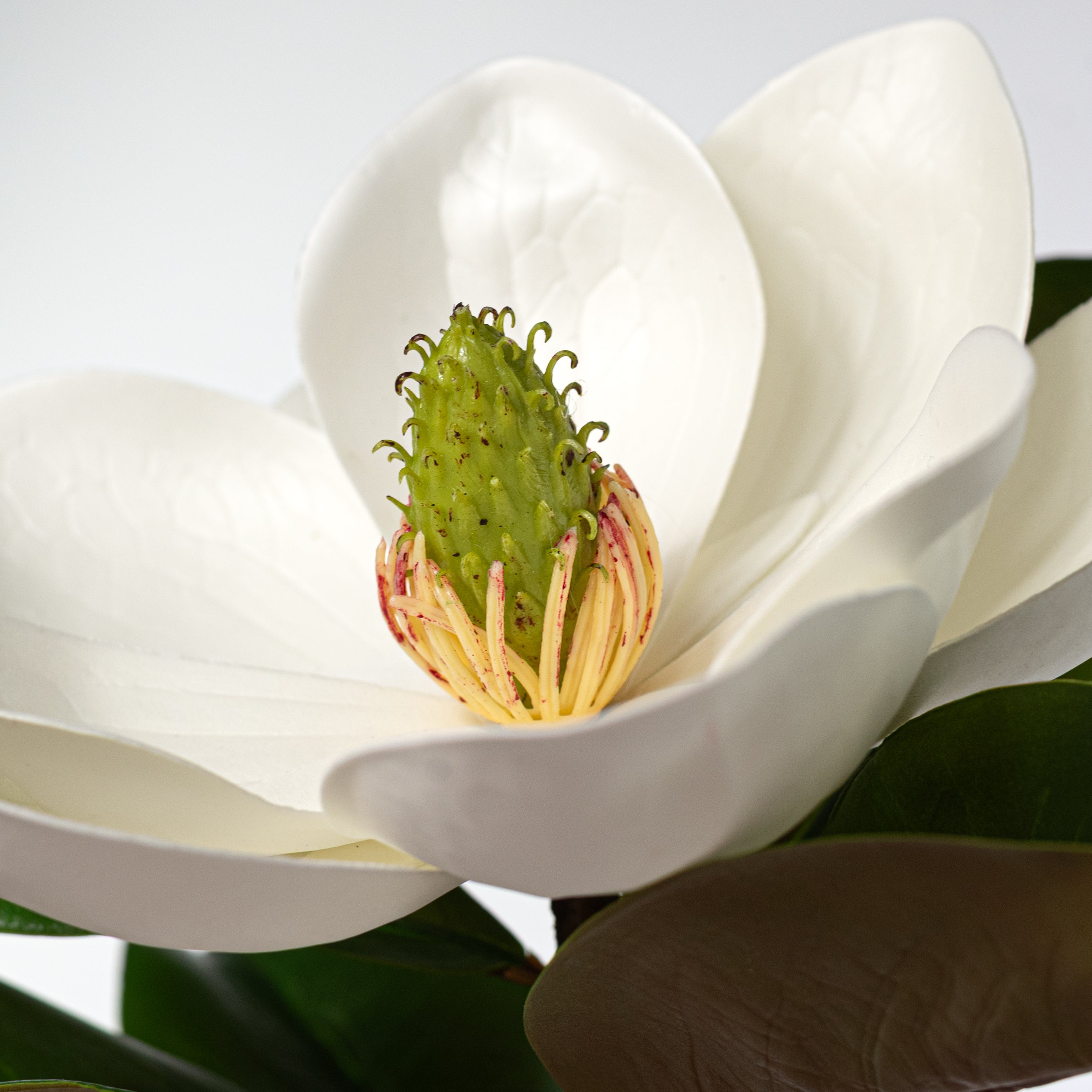 19" Real Touch Magnolia Flower Stem (UV Protected)