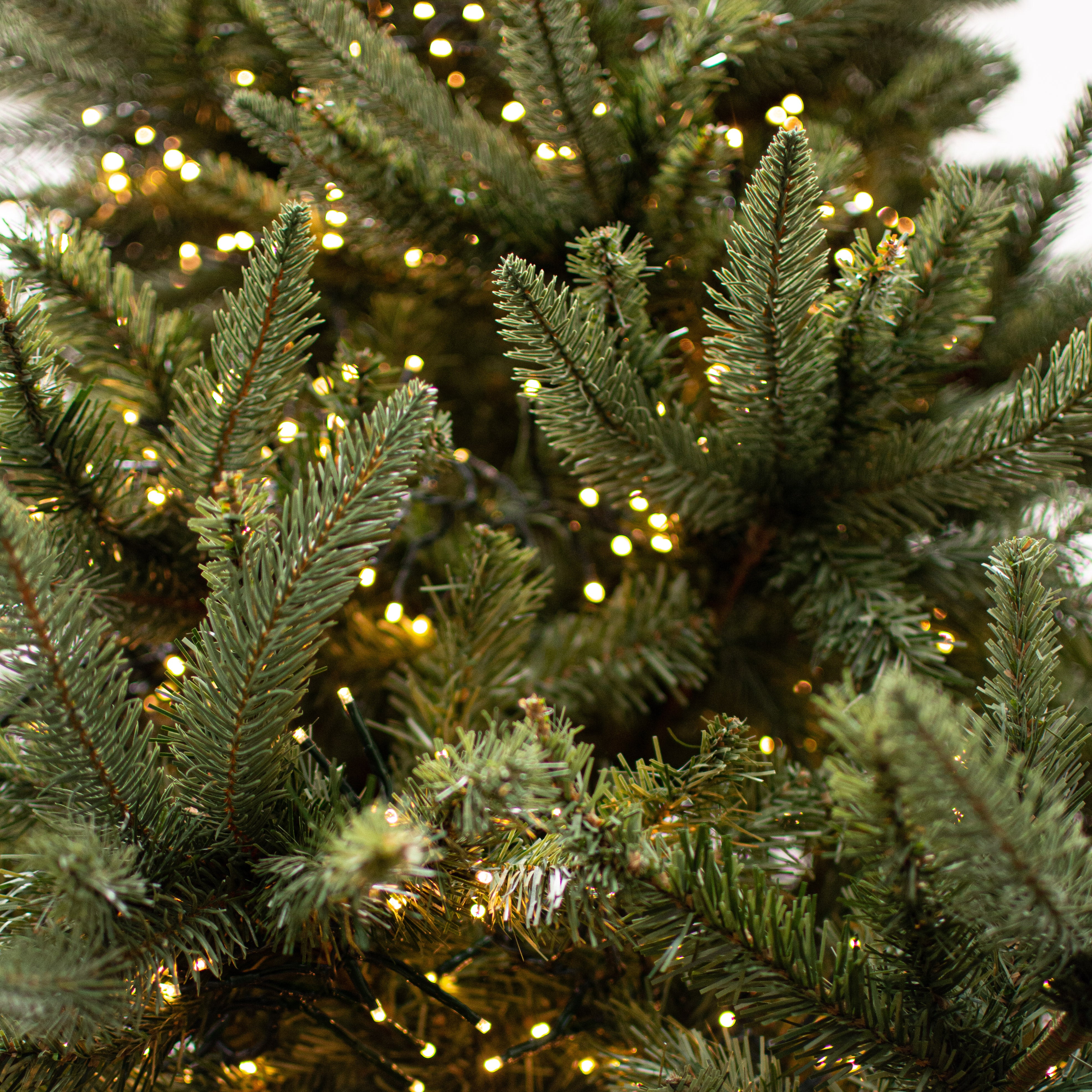 149" Twinkle Cluster Lights End-to-End w/ Timer, Warm White (360 LEDs - AC Power)