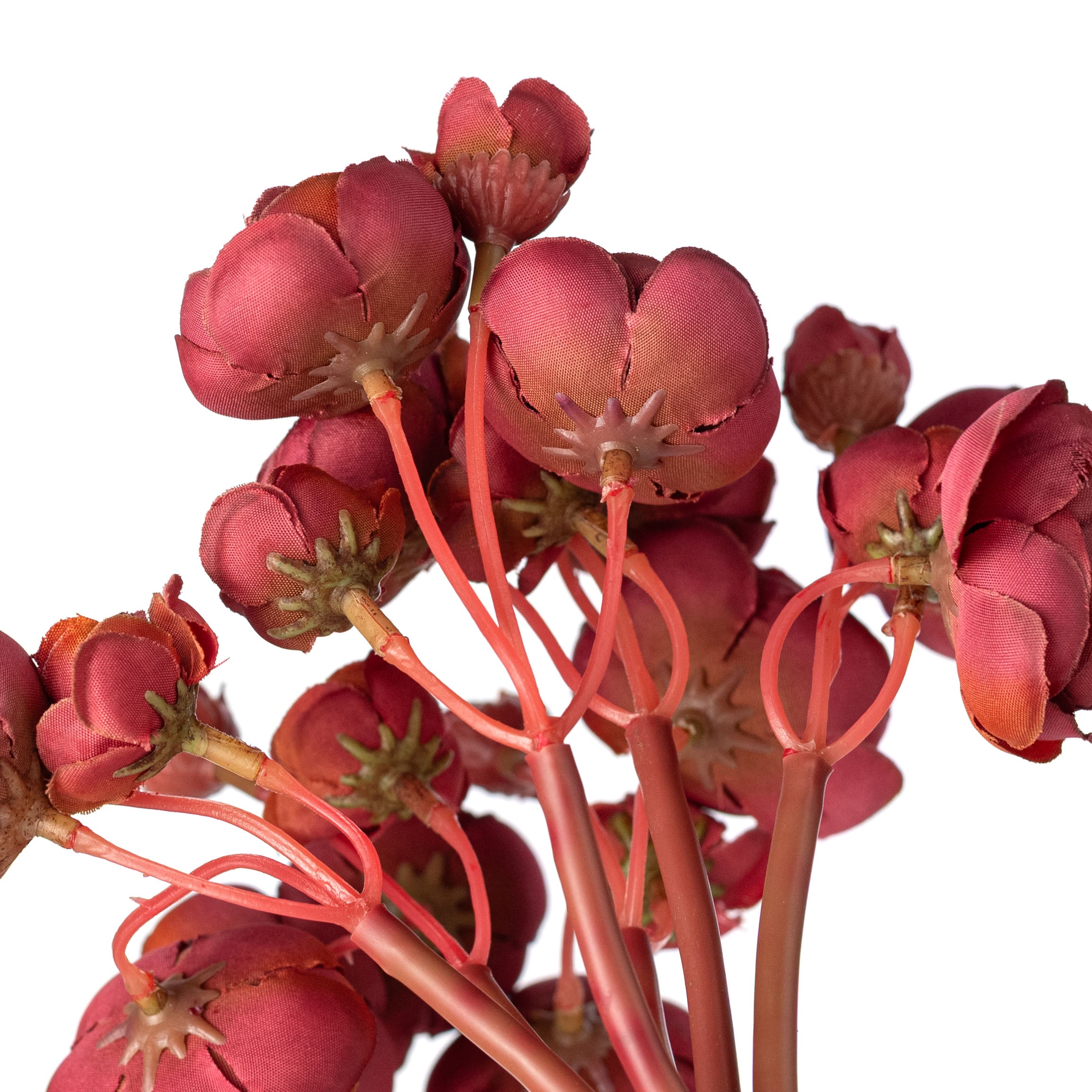 11" Mini Ranunculus Bundle: Burgundy Red