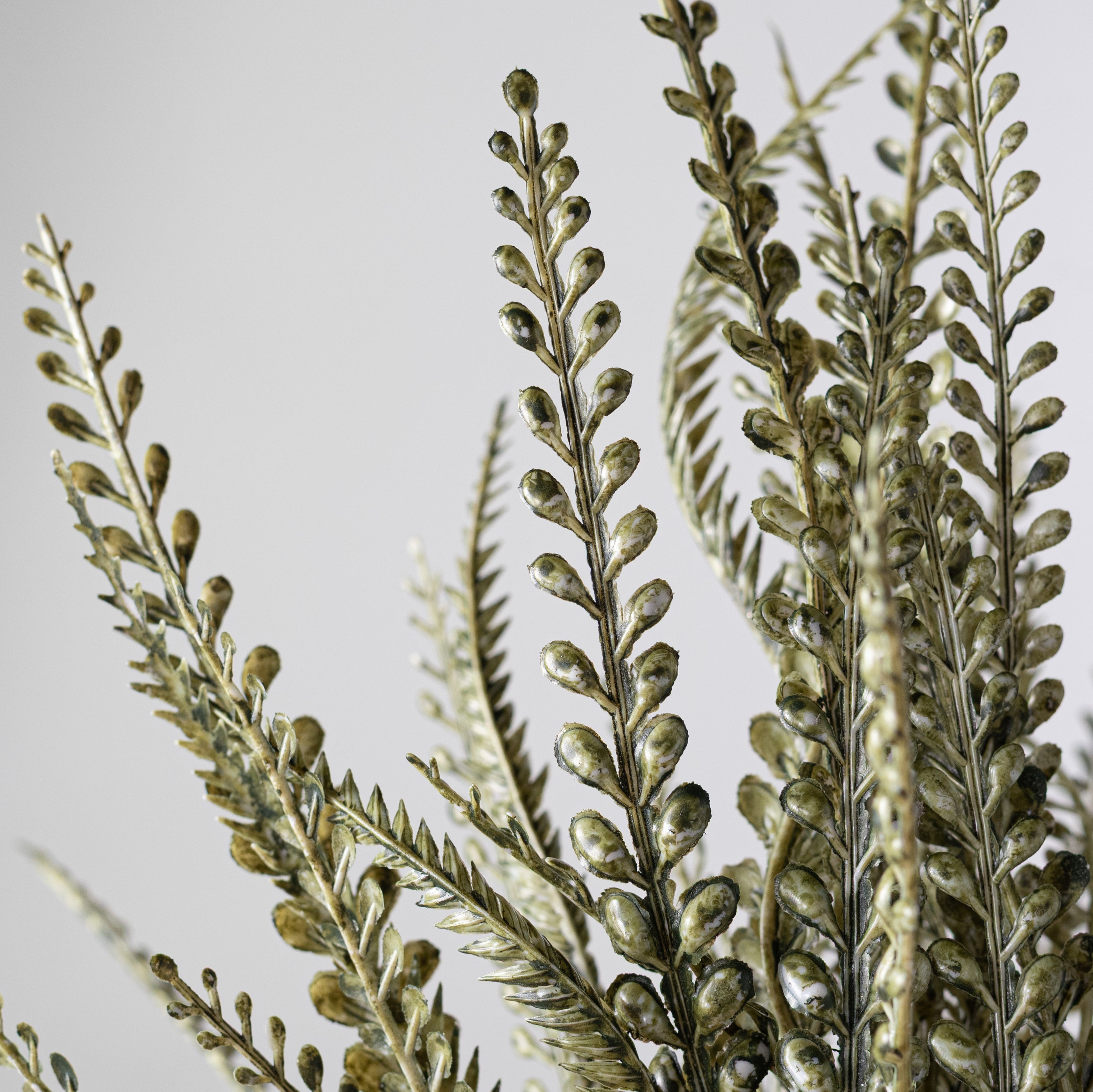 17" Button Sword Fern Bush: White Wash Moss Green