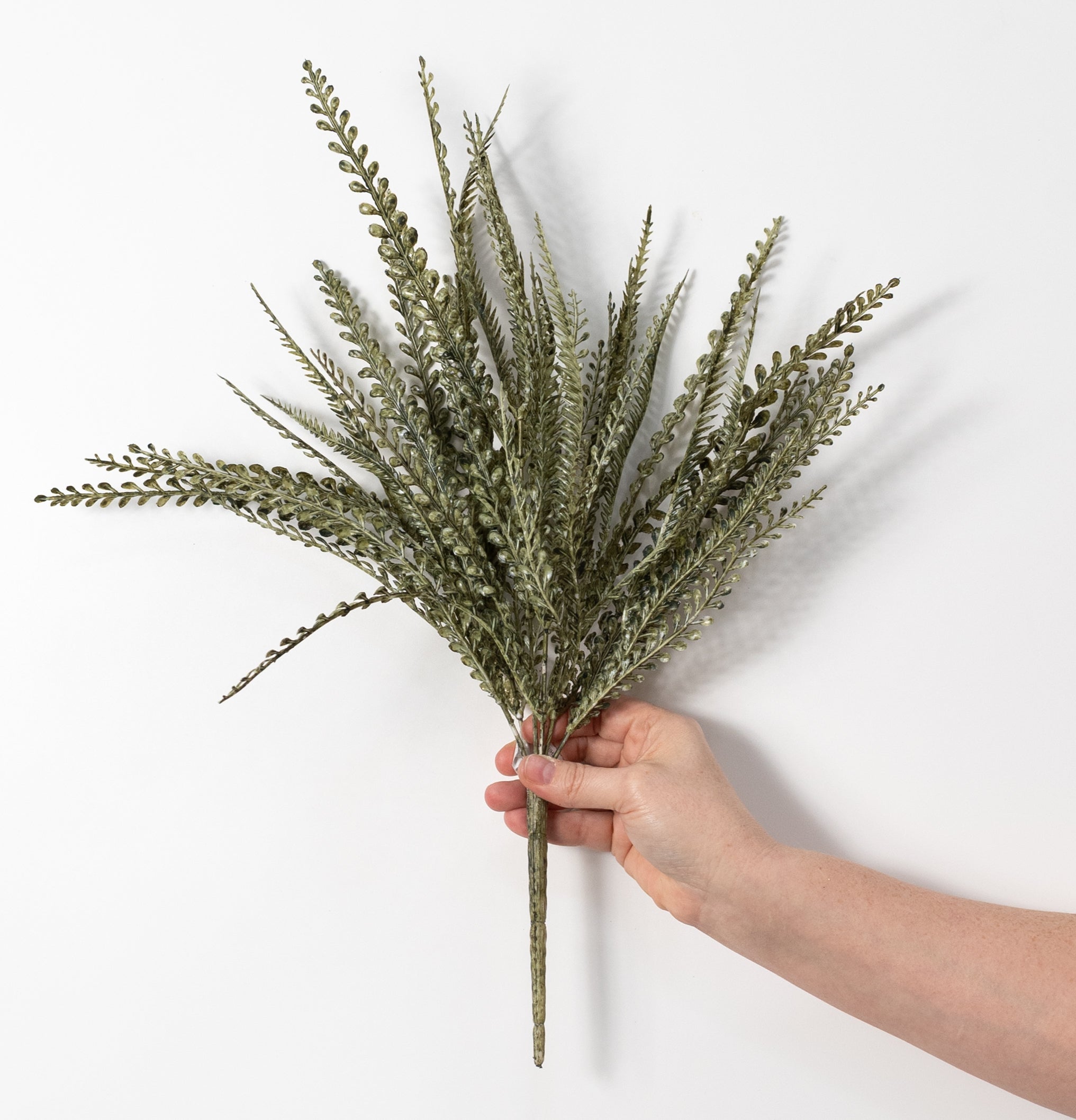 17" Button Sword Fern Bush: White Wash Moss Green