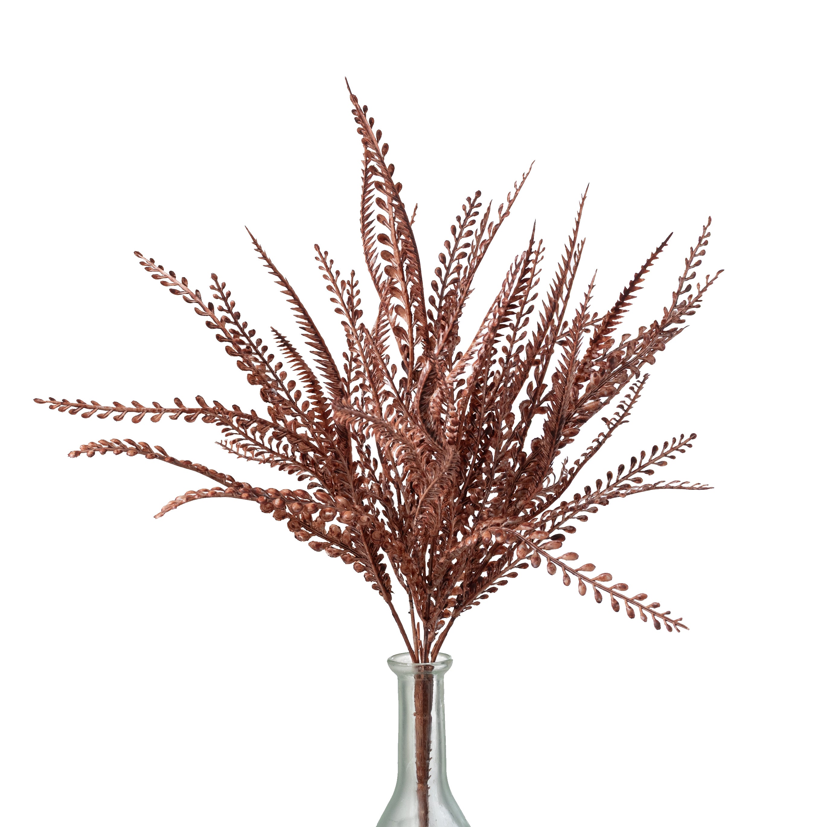 17" Button Sword Fern Bush: White Wash Rust