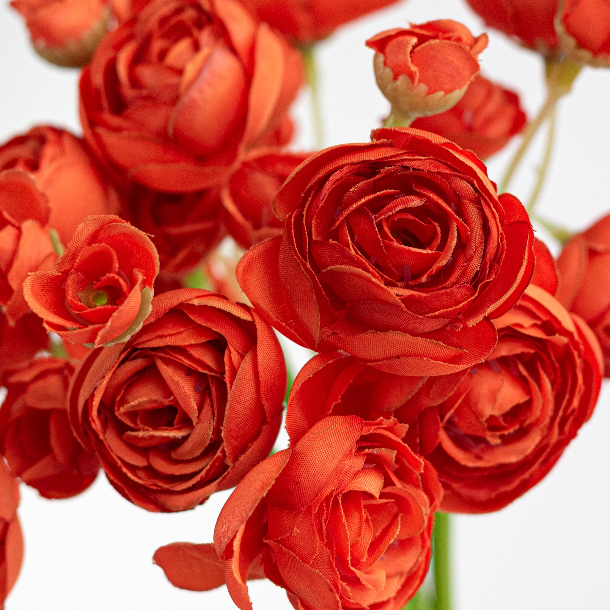 11" Mini Ranunculus Bundle: Orange